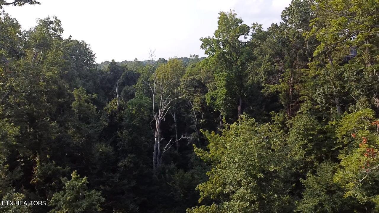Lot 145 Reedmont Way Sevierville TN 37876