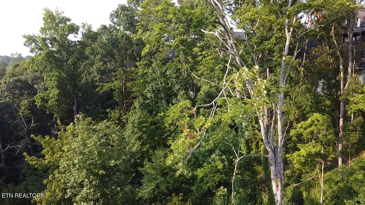 Lot 145 Reedmont Way Sevierville TN 37876