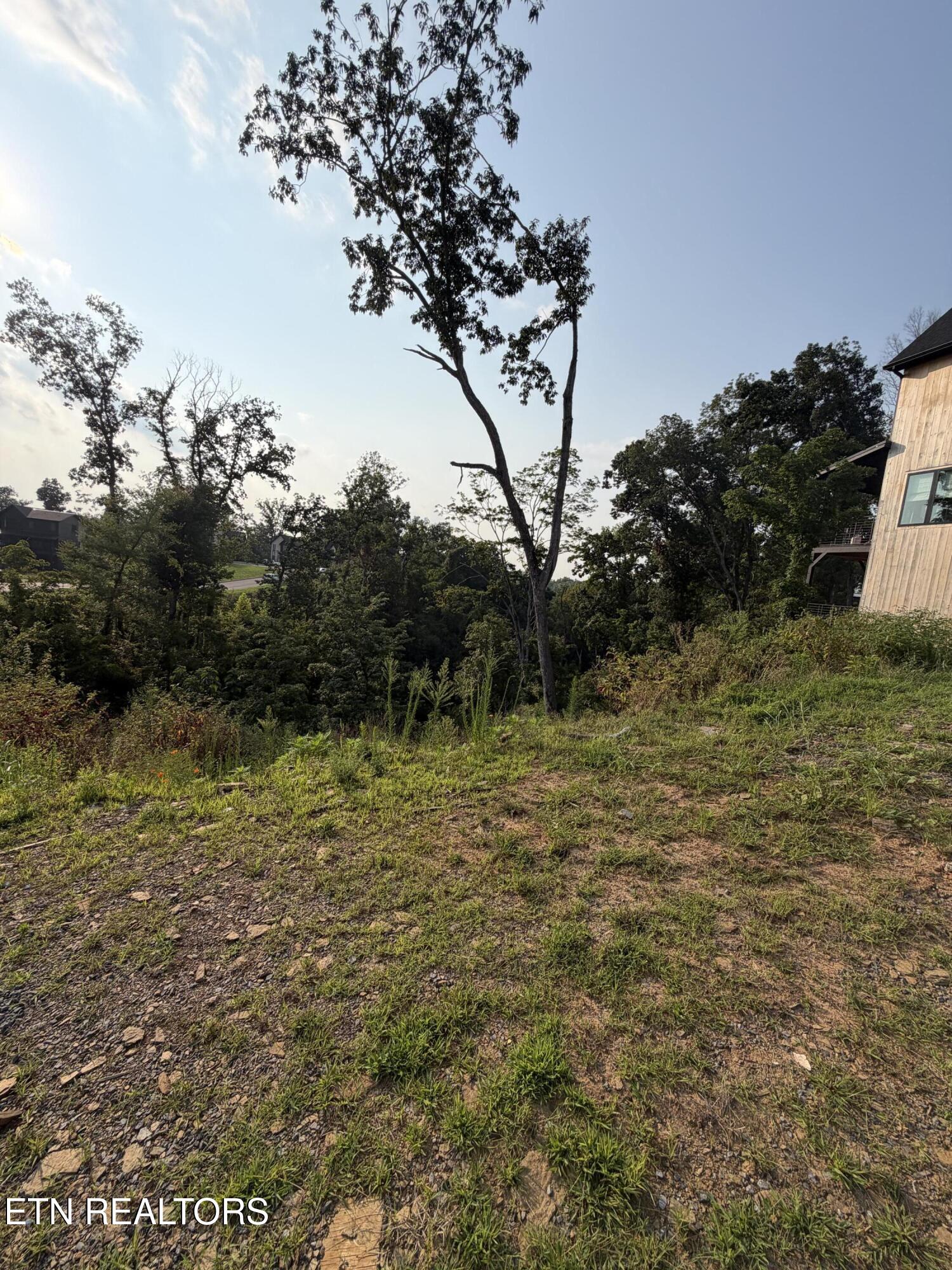 Lot 145 Reedmont Way Sevierville TN 37876