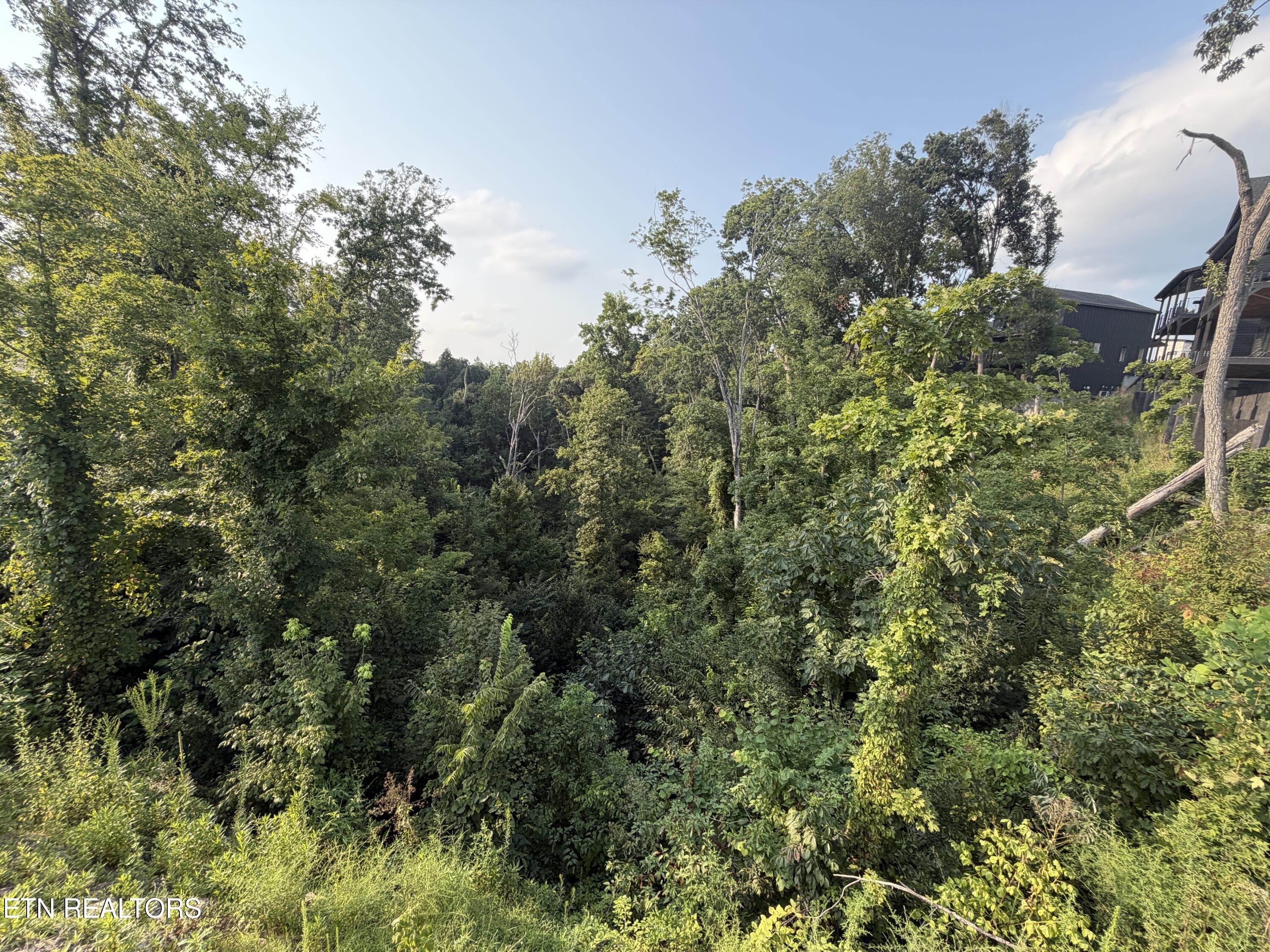 Lot 145 Reedmont Way Sevierville TN 37876