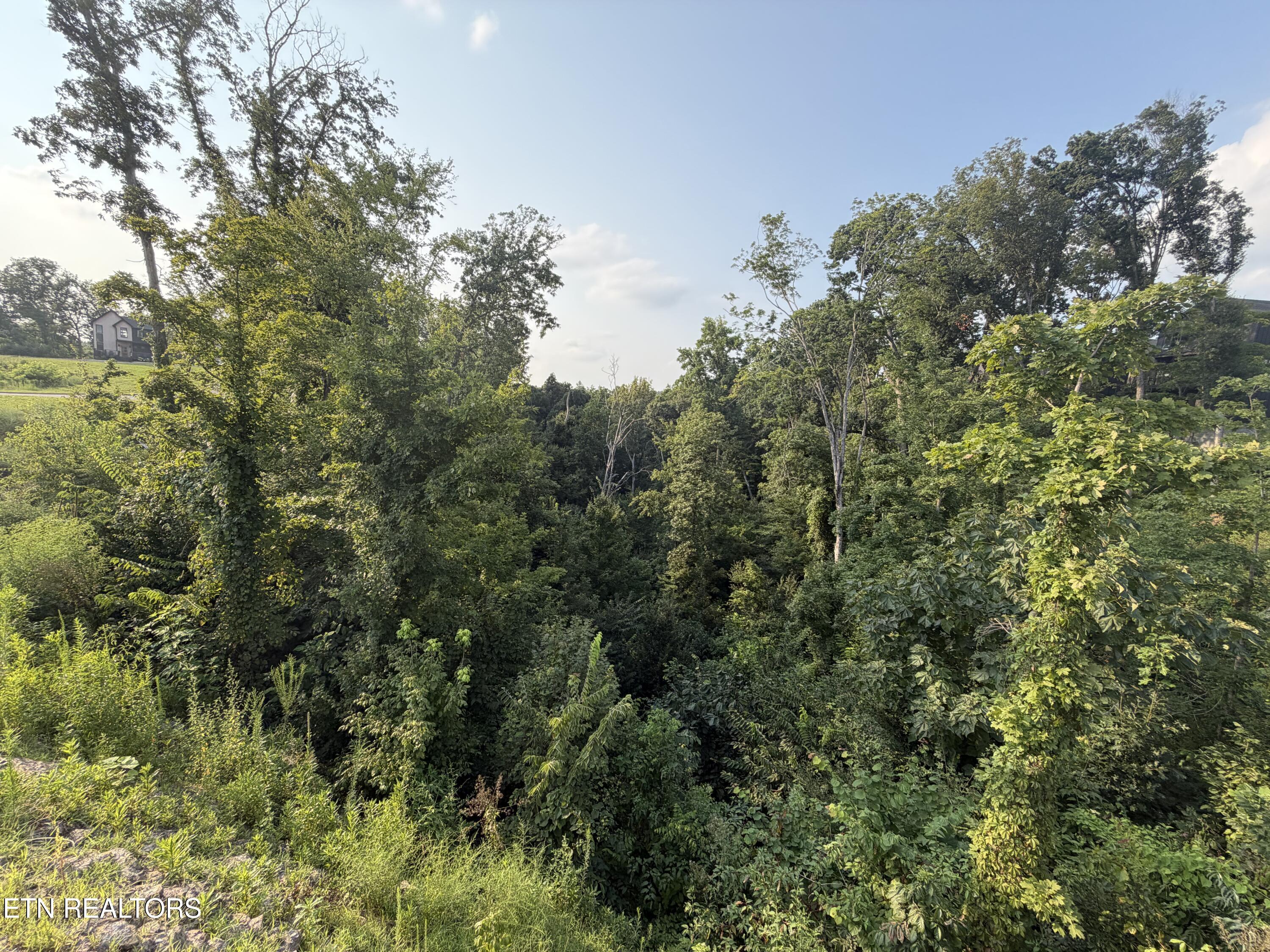 Lot 145 Reedmont Way Sevierville TN 37876