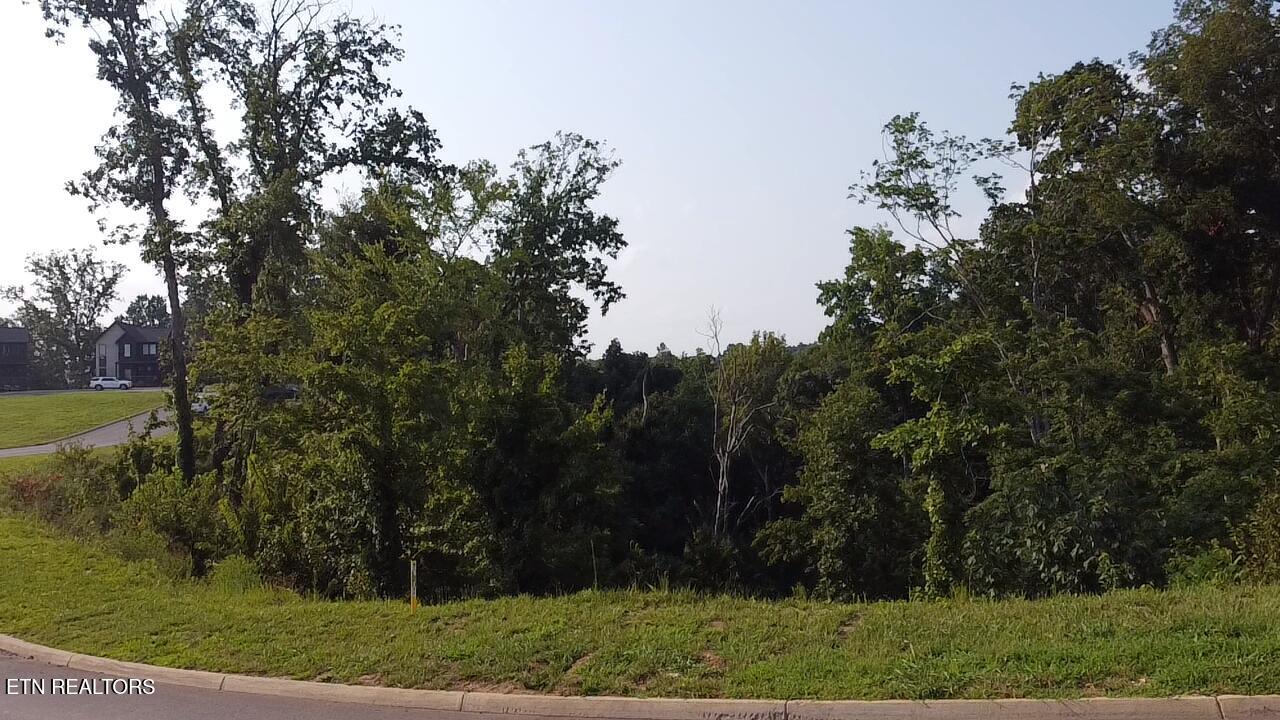 Lot 145 Reedmont Way Sevierville TN 37876
