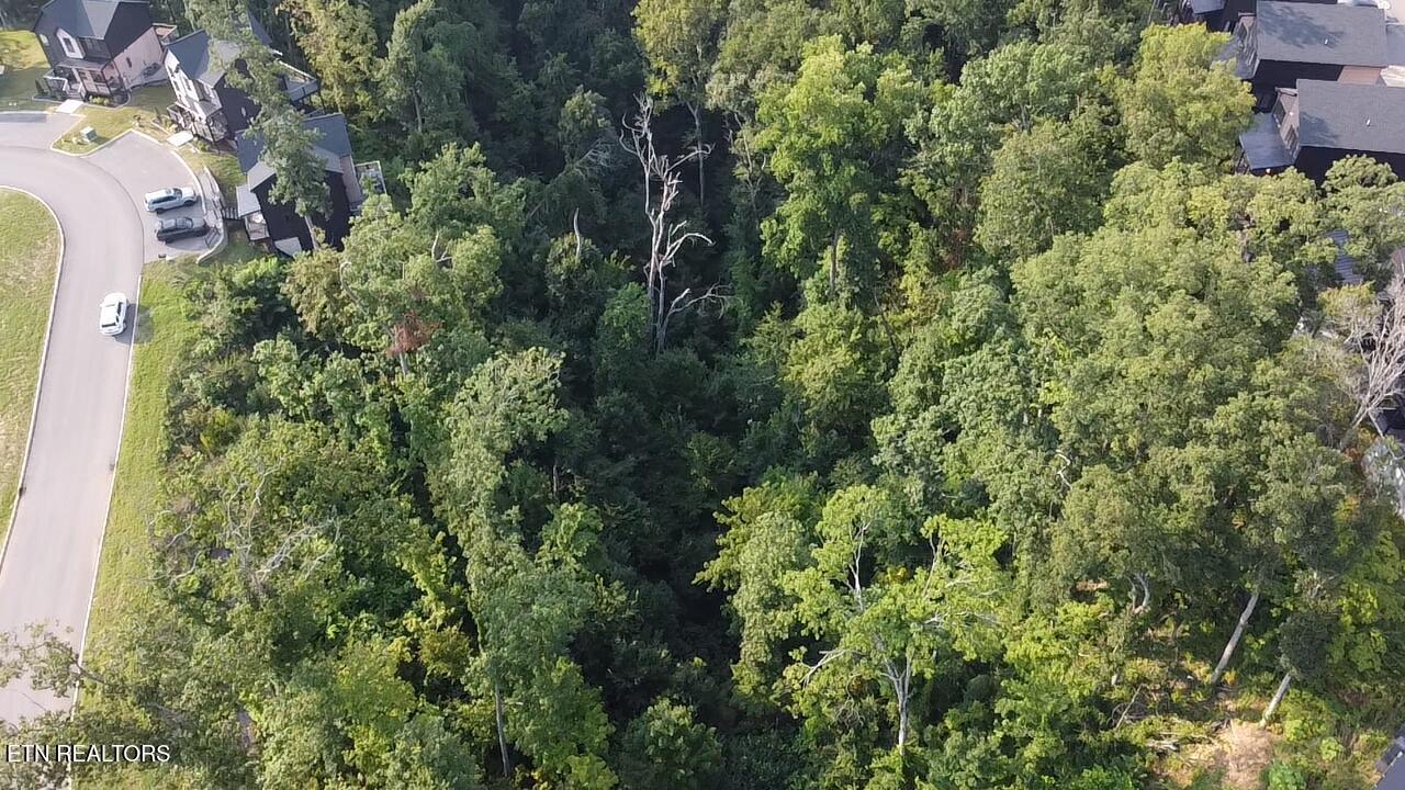 Lot 145 Reedmont Way Sevierville TN 37876