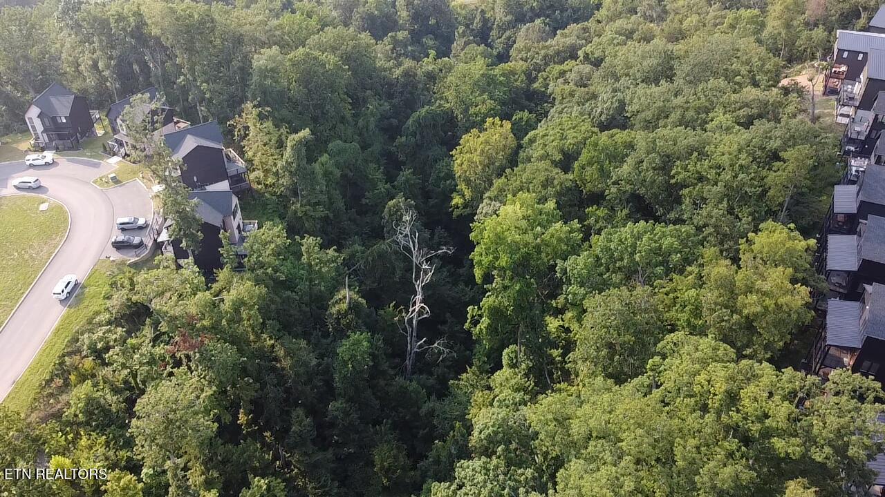 Lot 145 Reedmont Way Sevierville TN 37876