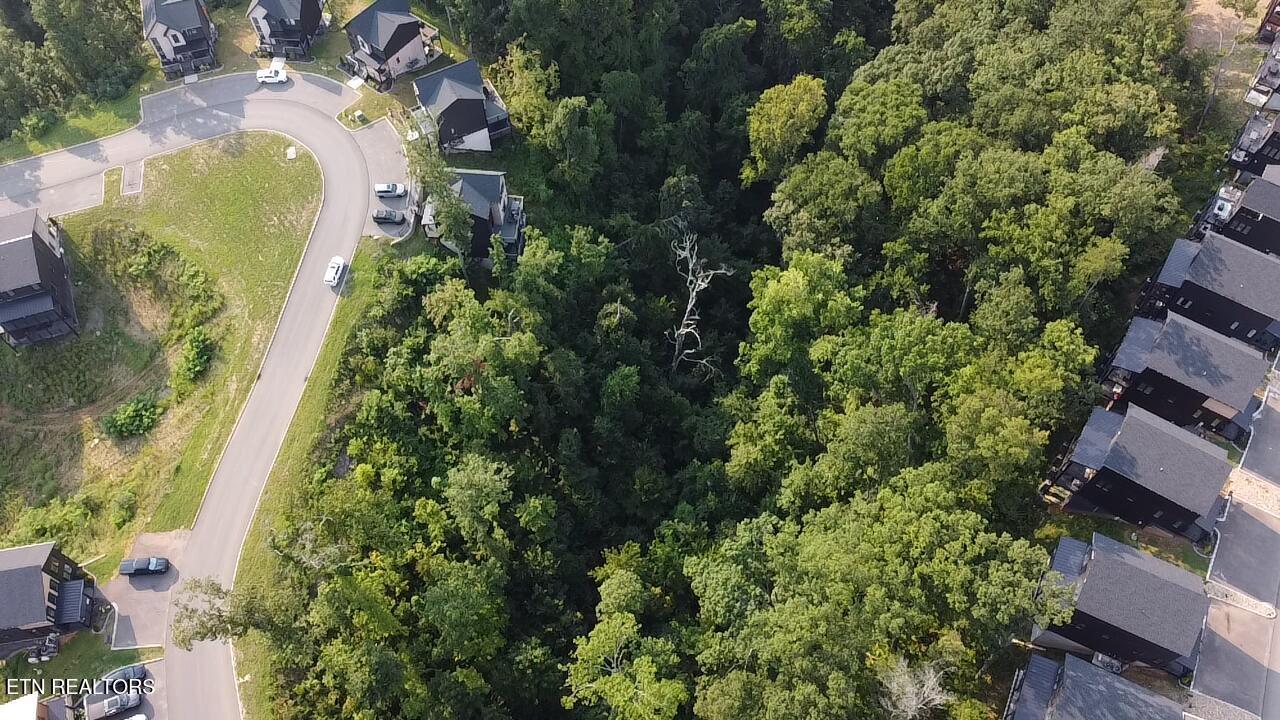 Lot 145 Reedmont Way Sevierville TN 37876