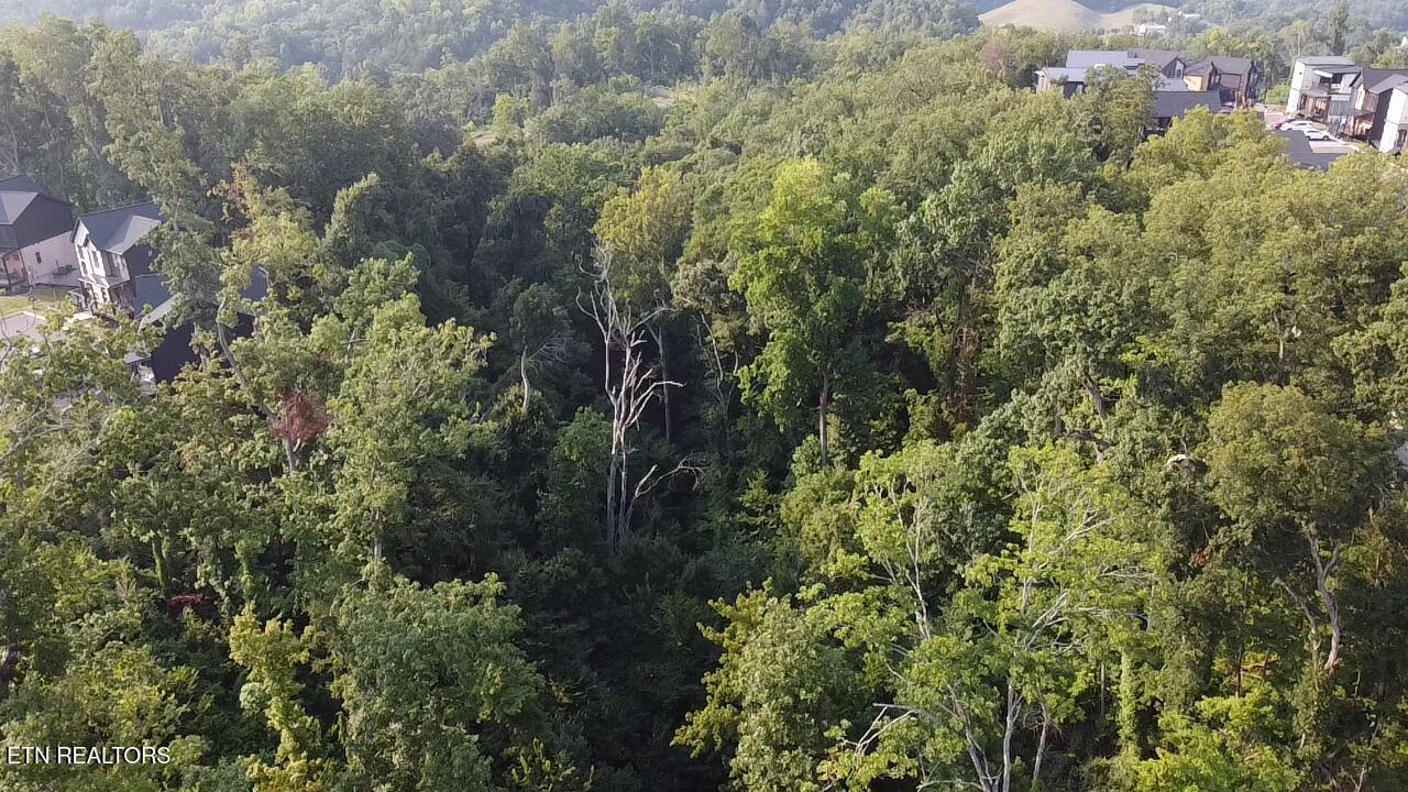 Lot 145 Reedmont Way Sevierville TN 37876