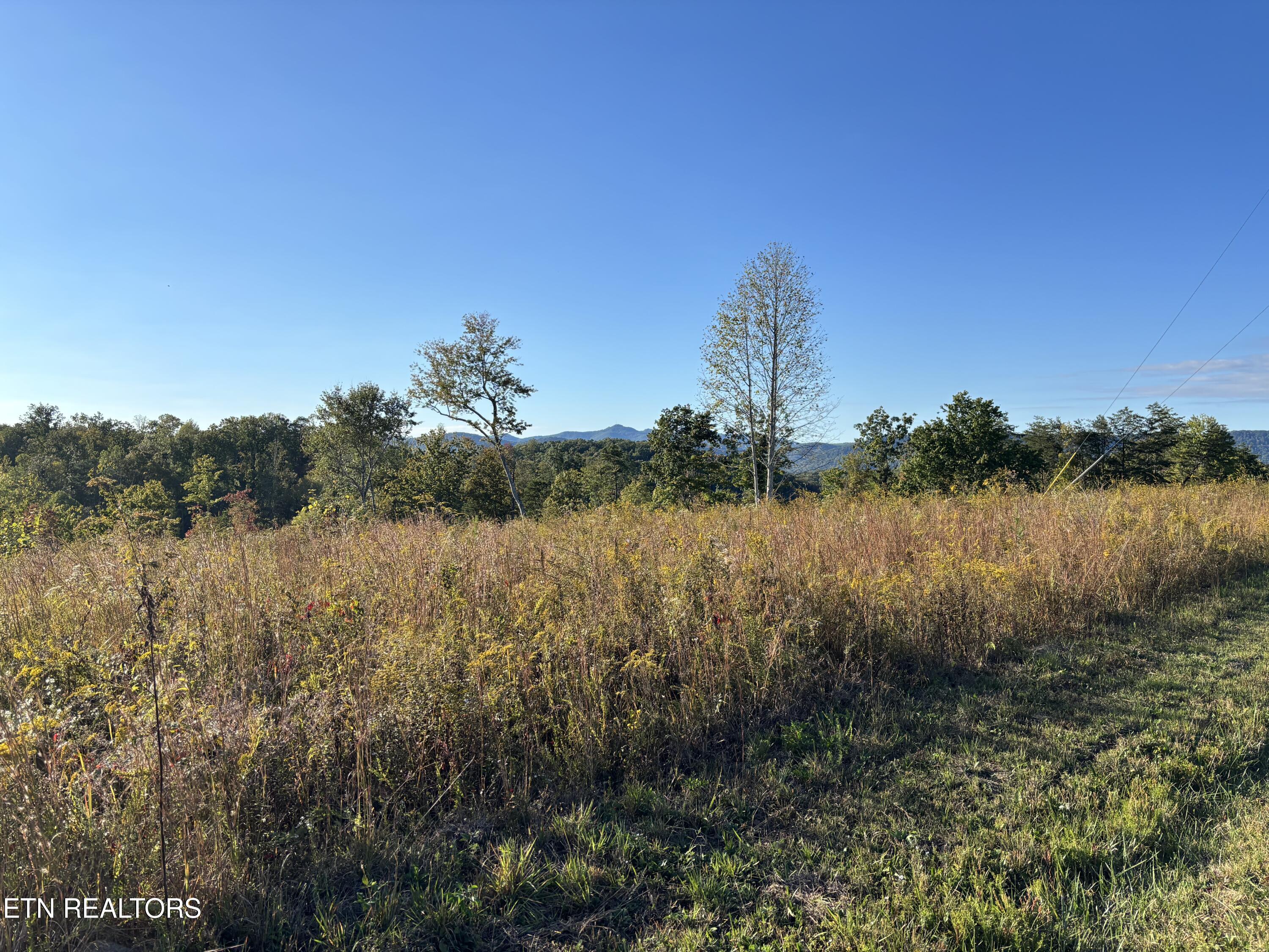 Quail Run Lafollette TN 37766