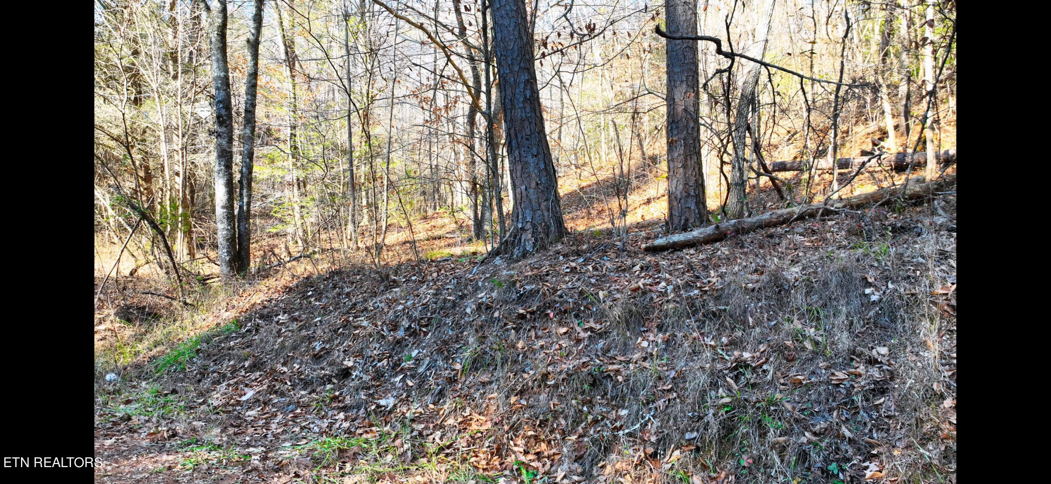 Harris Branch Road Madisonville TN 37354