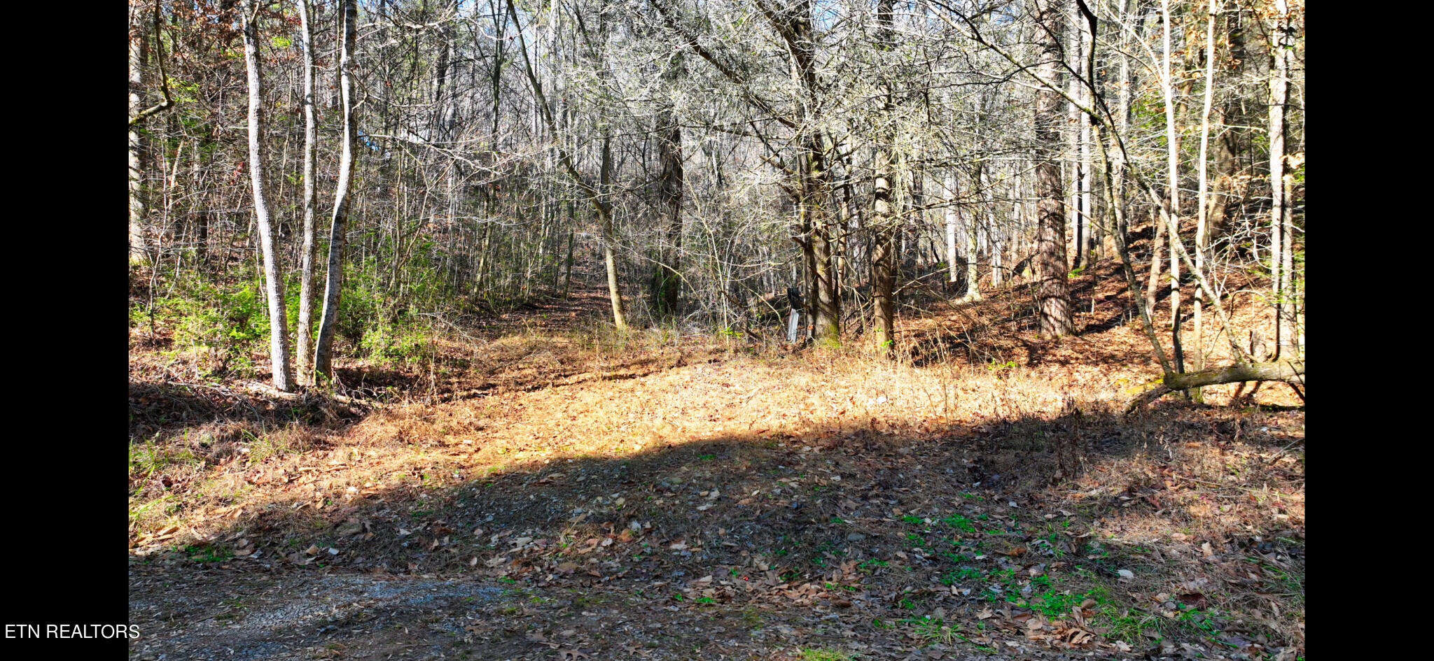 Harris Branch Road Madisonville TN 37354