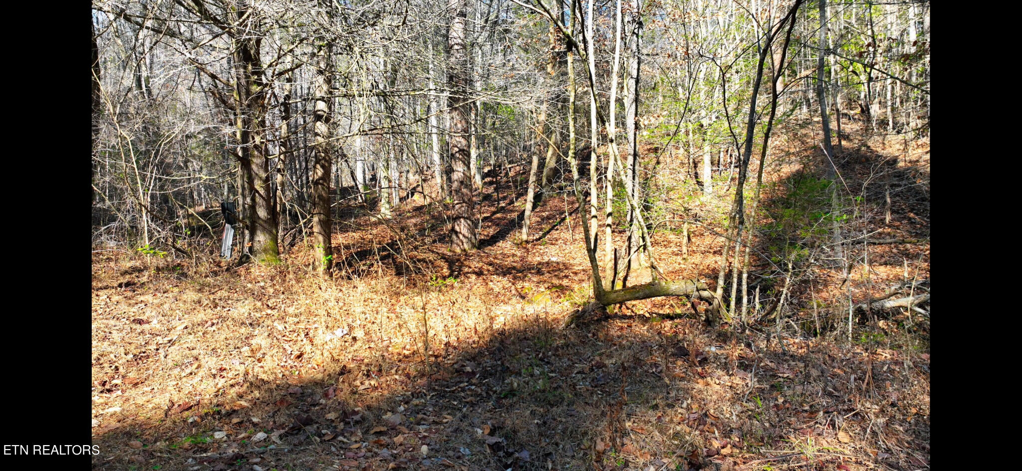 Harris Branch Road Madisonville TN 37354