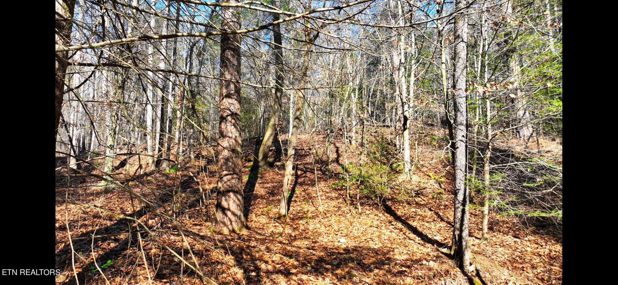 Harris Branch Road Madisonville TN 37354