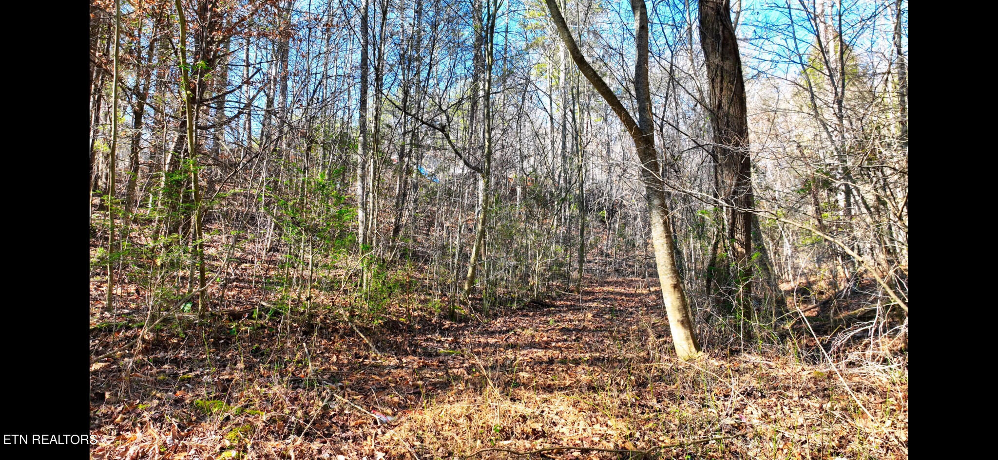 Harris Branch Road Madisonville TN 37354