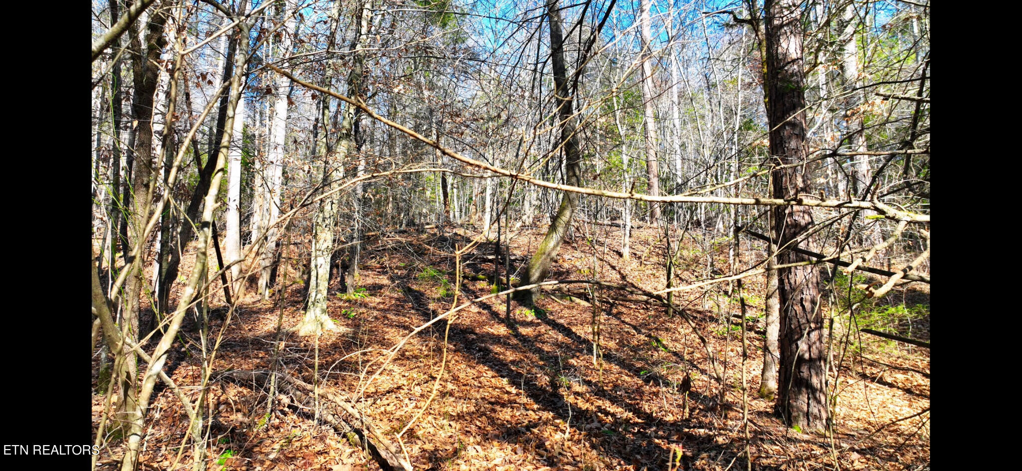Harris Branch Road Madisonville TN 37354