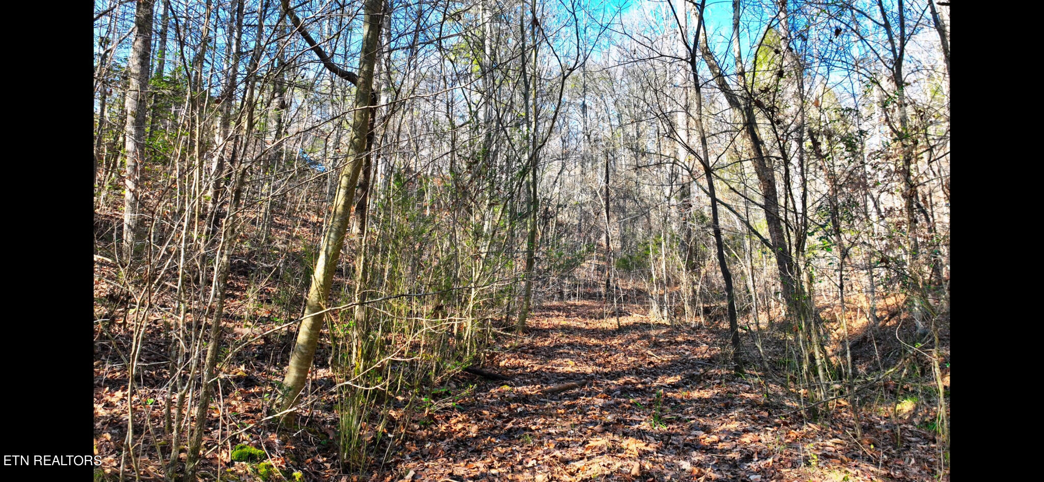 Harris Branch Road Madisonville TN 37354