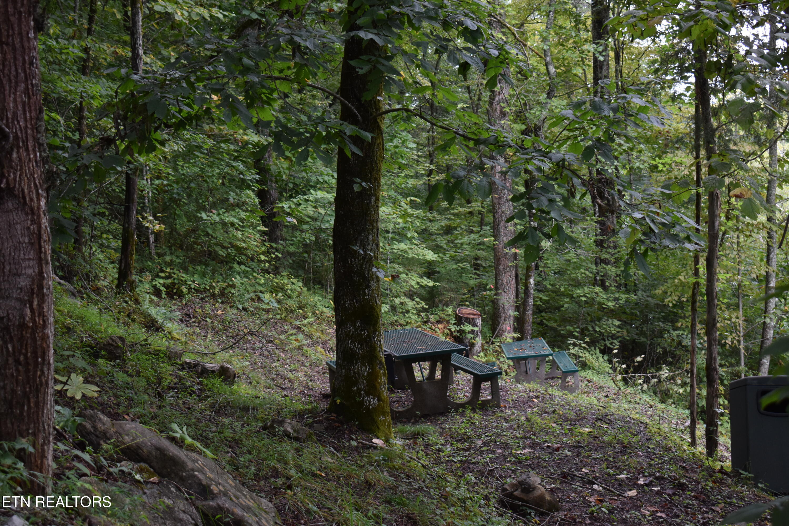 Lot 93 Saddle Ridge Drive Lafollette TN 37766