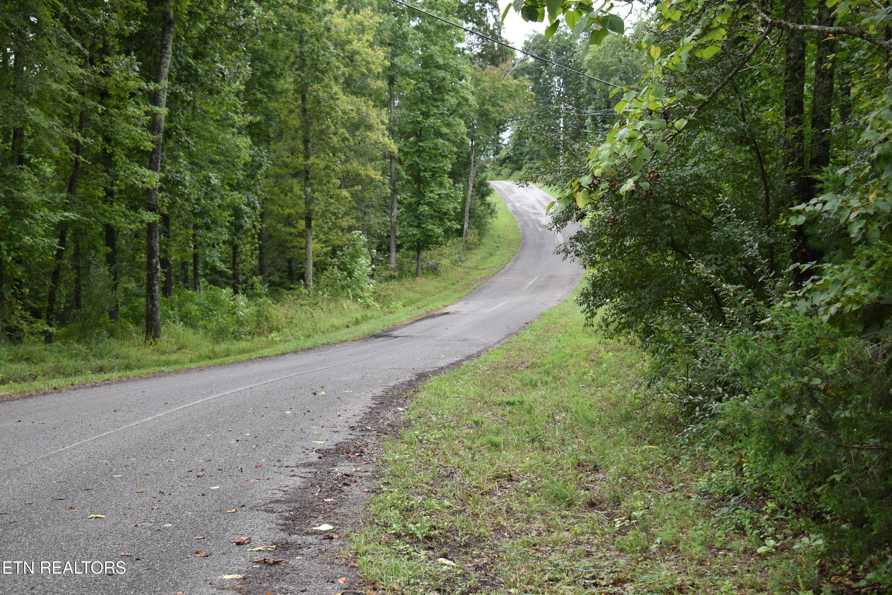 Lot 93 Saddle Ridge Drive Lafollette TN 37766