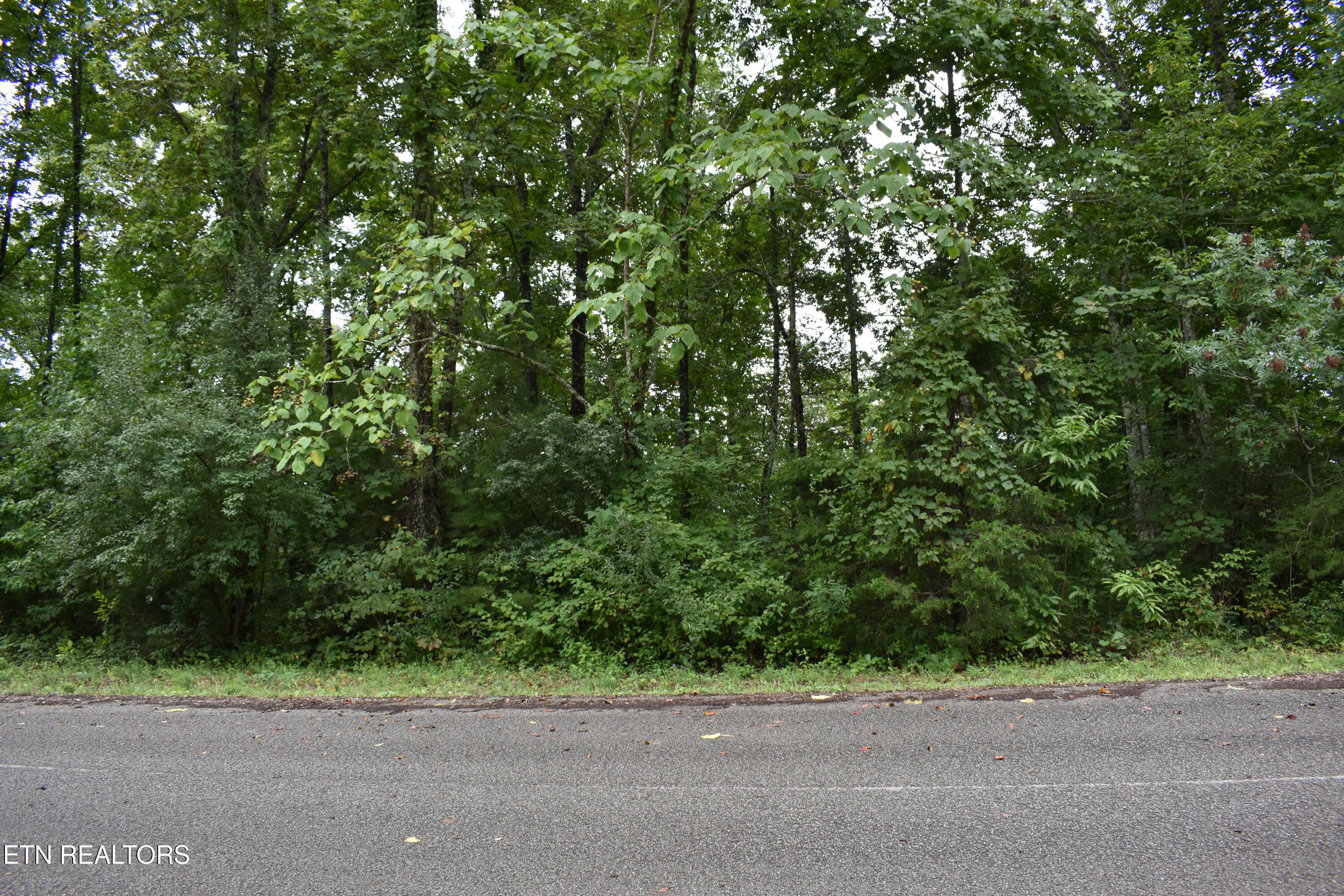 Lot 93 Saddle Ridge Drive Lafollette TN 37766