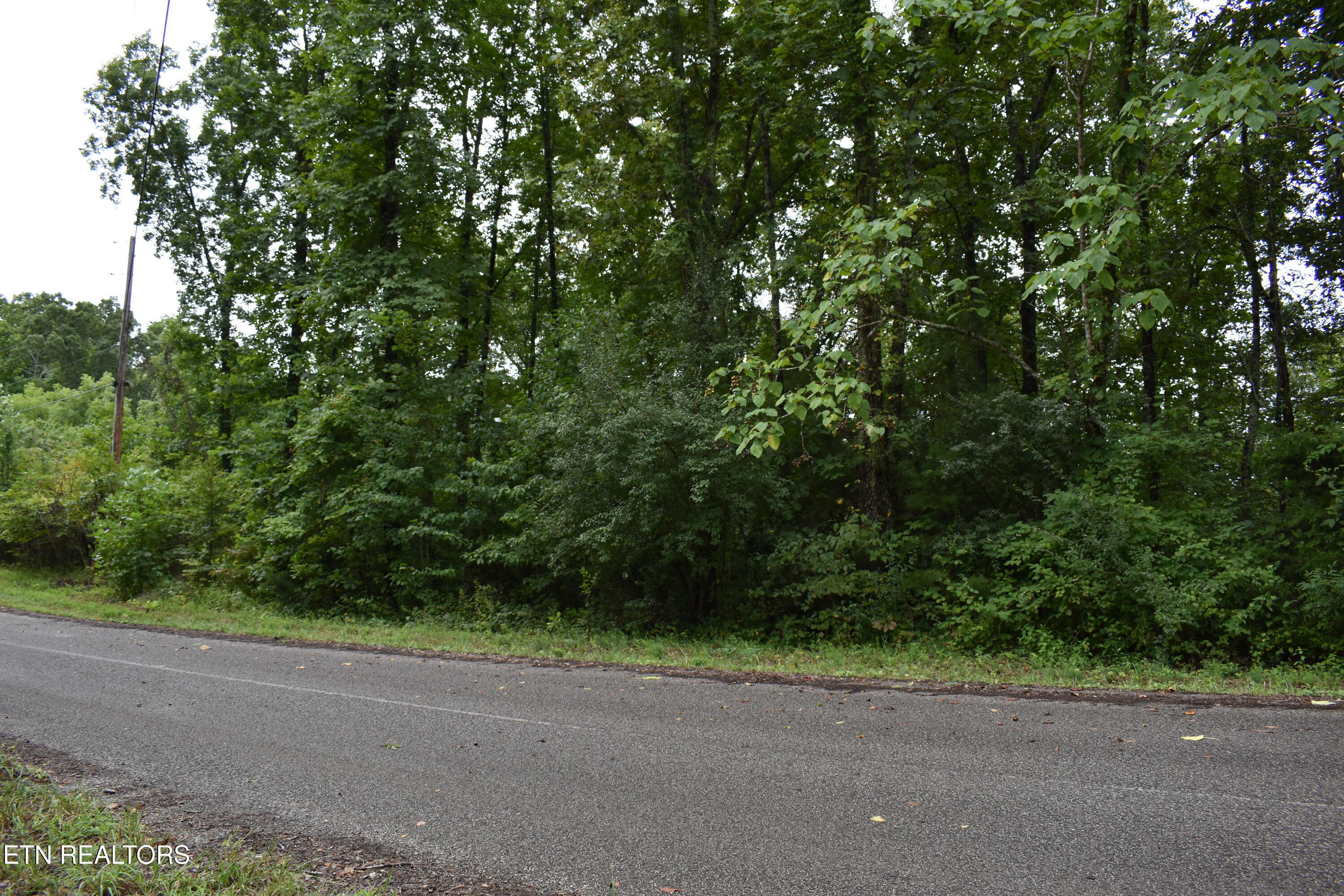 Lot 93 Saddle Ridge Drive Lafollette TN 37766