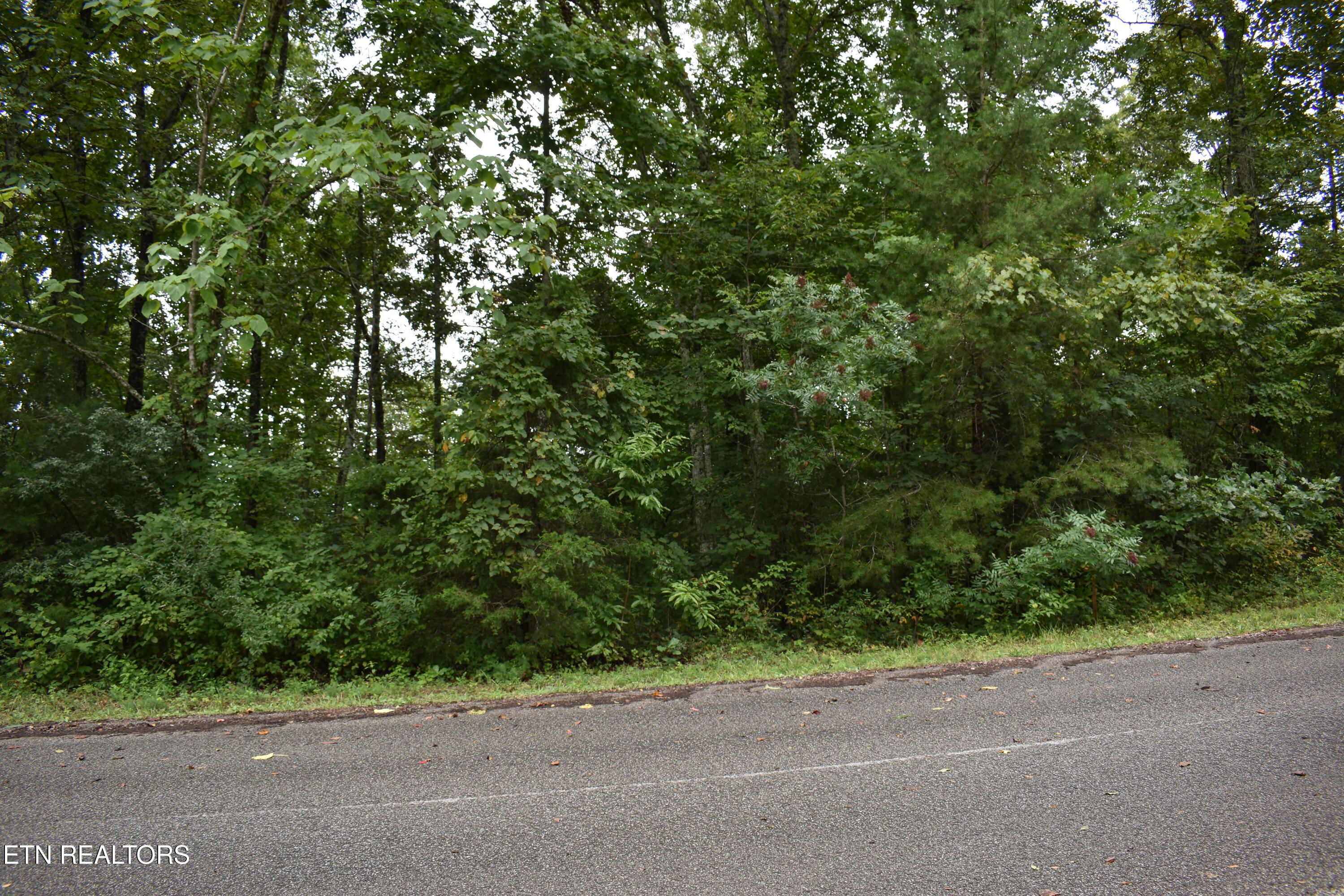 Lot 93 Saddle Ridge Drive Lafollette TN 37766