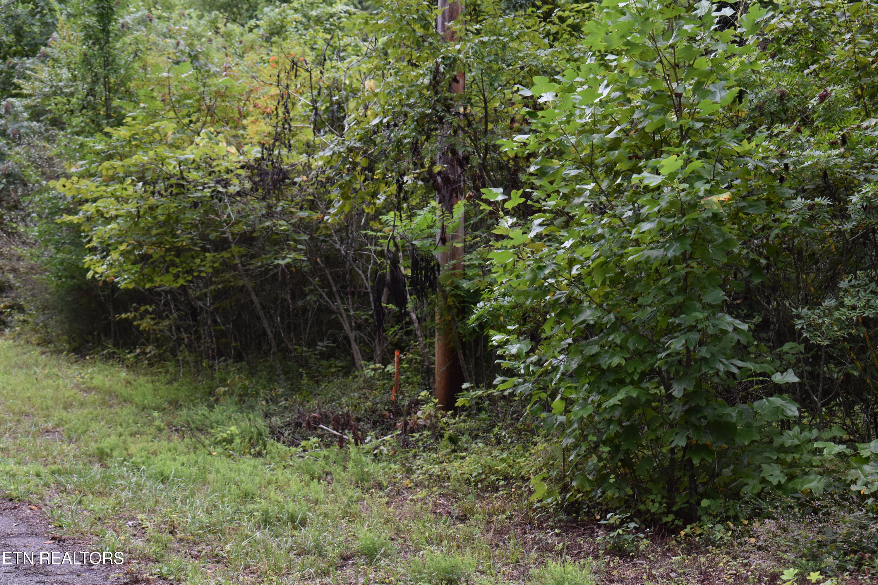 Lot 93 Saddle Ridge Drive Lafollette TN 37766