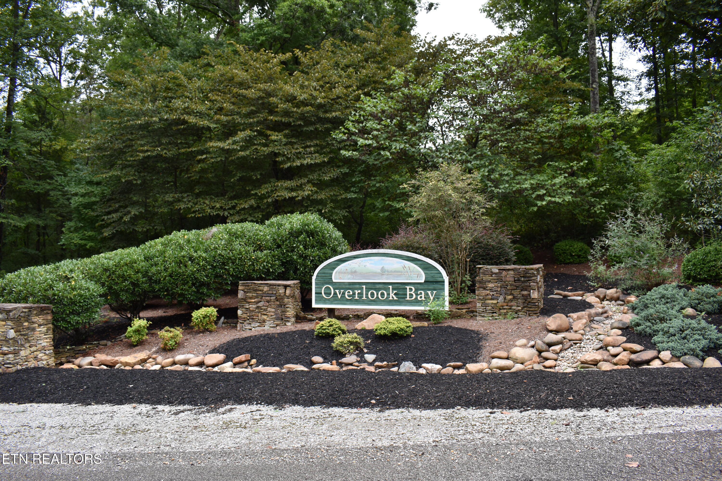 Lot 93 Saddle Ridge Drive Lafollette TN 37766