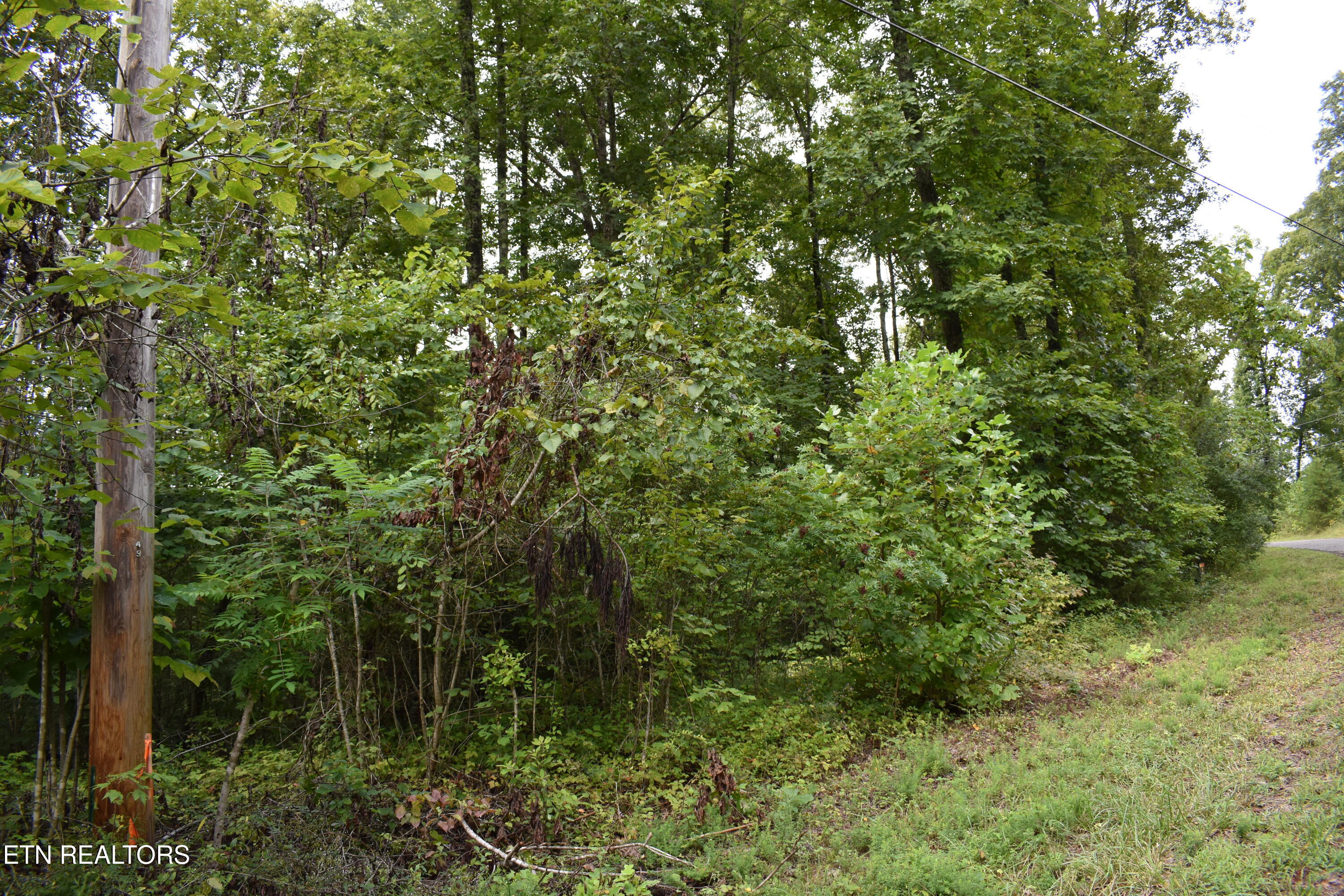 Lot 93 Saddle Ridge Drive Lafollette TN 37766