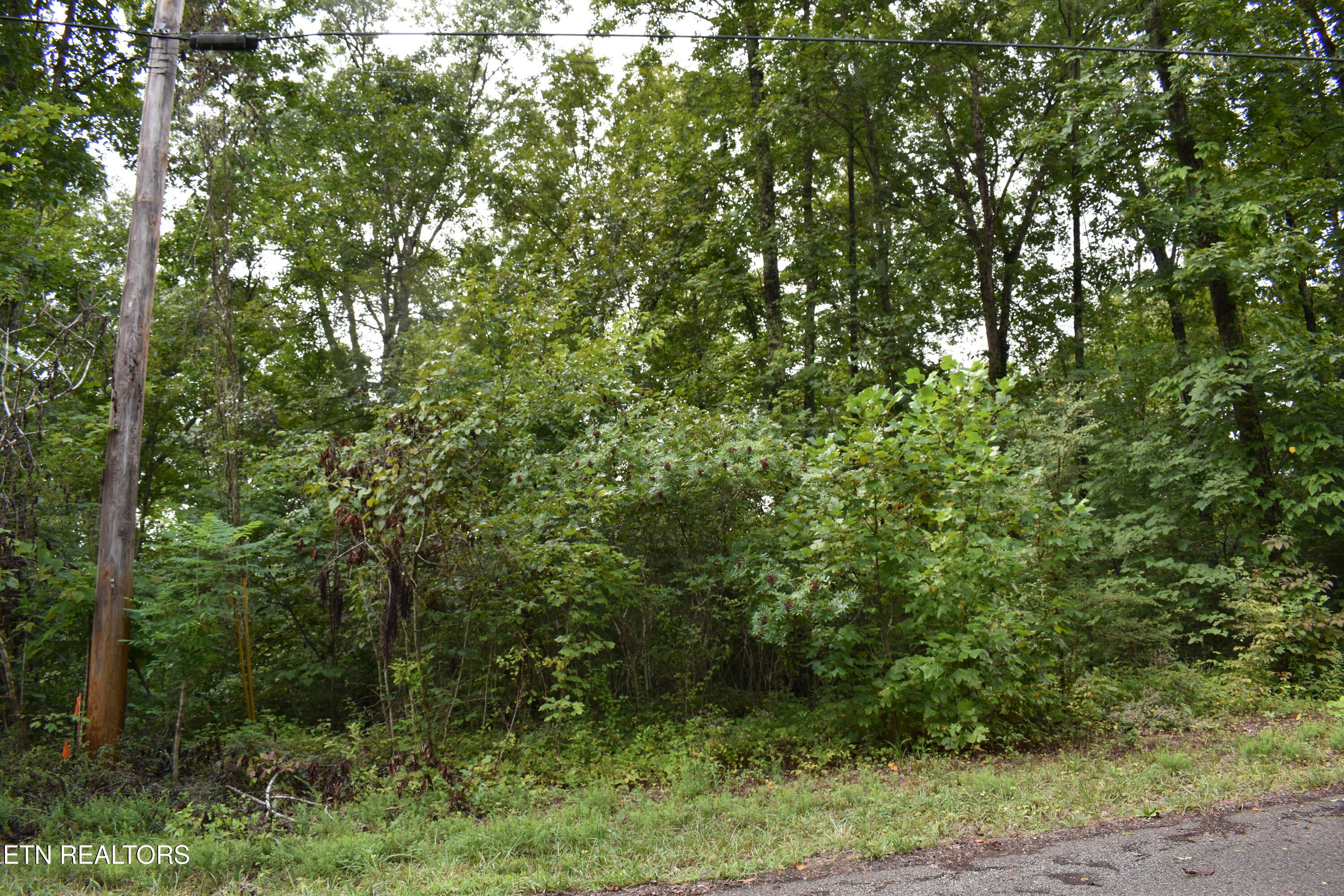 Lot 93 Saddle Ridge Drive Lafollette TN 37766