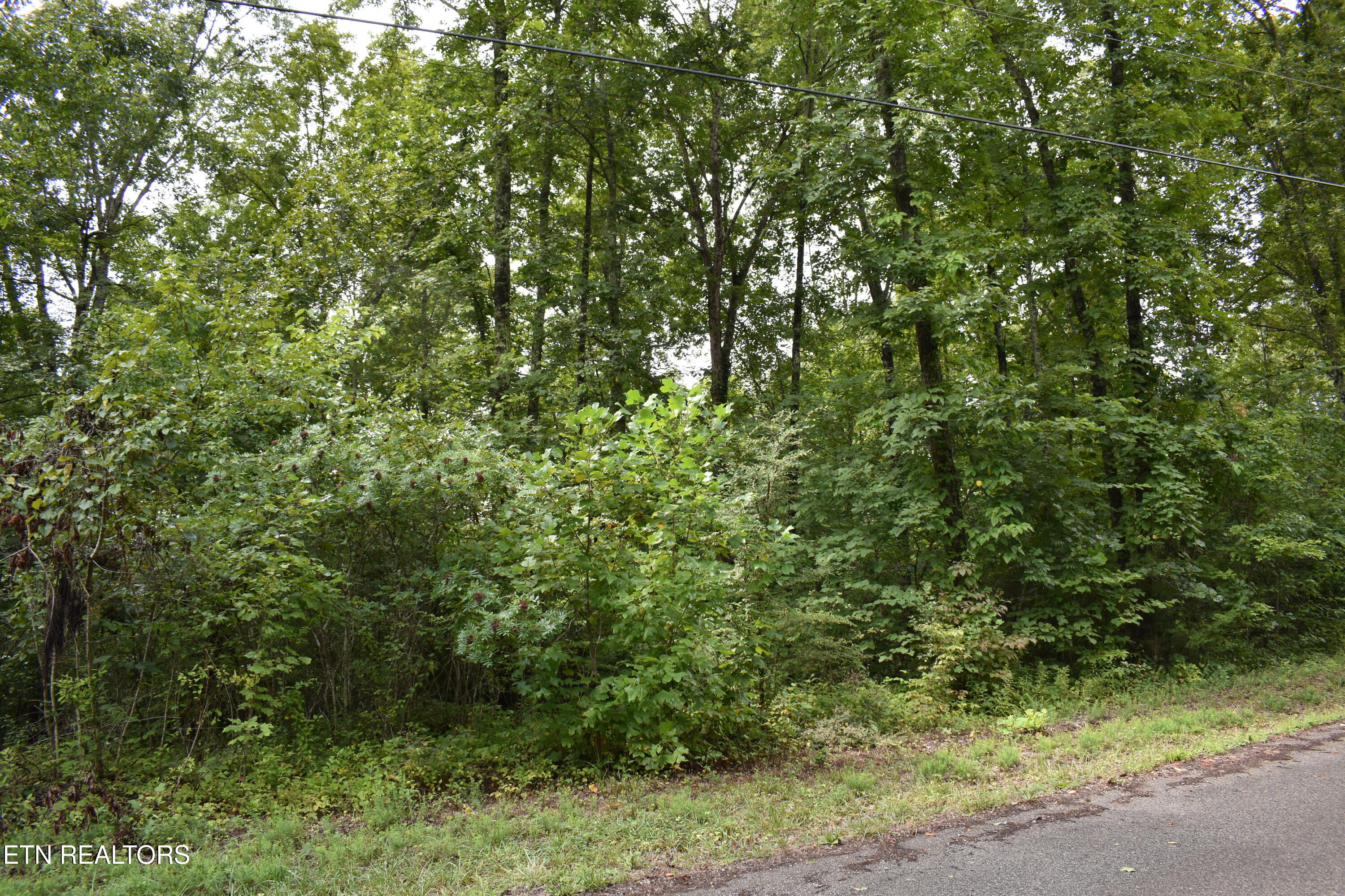 Lot 93 Saddle Ridge Drive Lafollette TN 37766