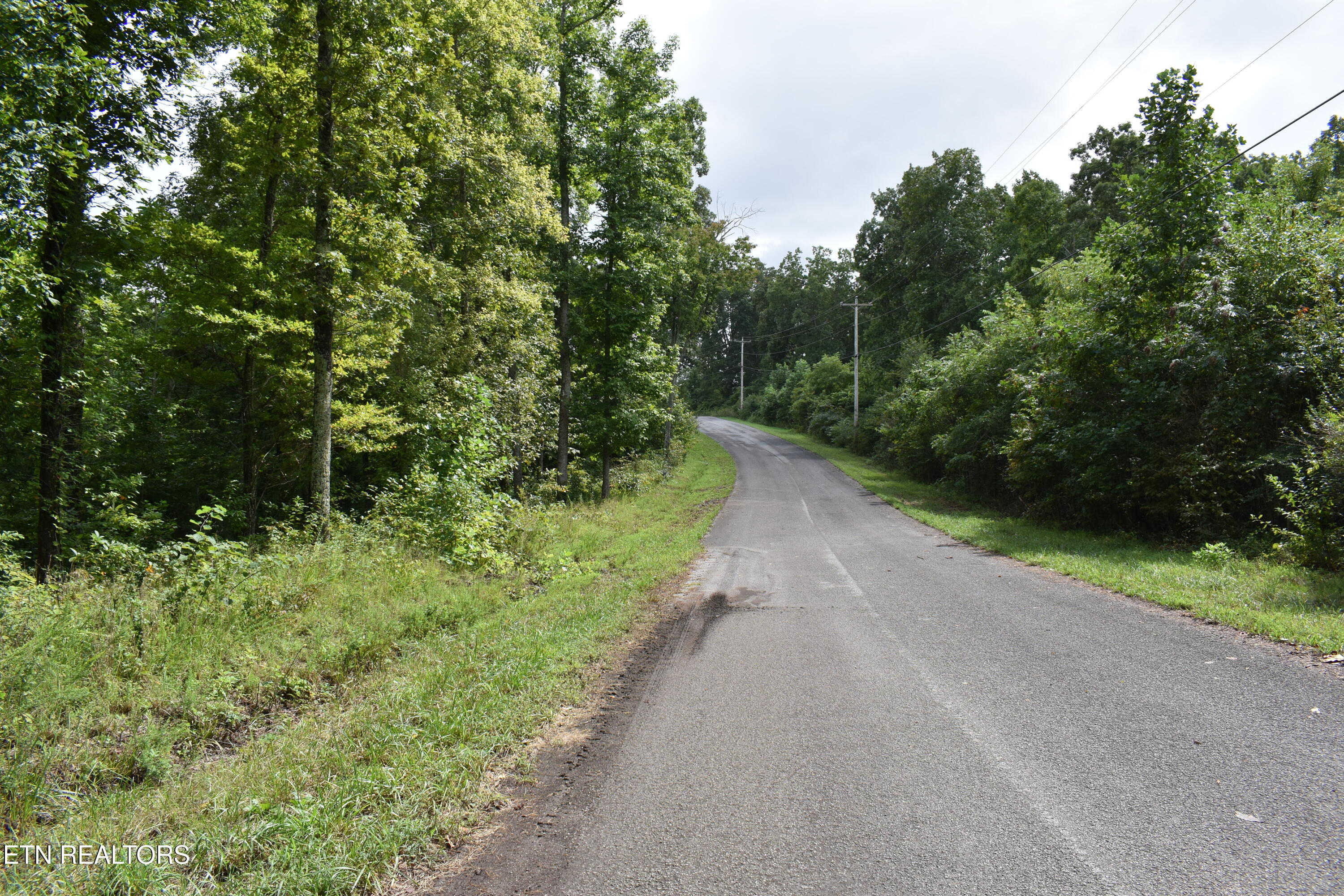 Lot 93 Saddle Ridge Drive Lafollette TN 37766