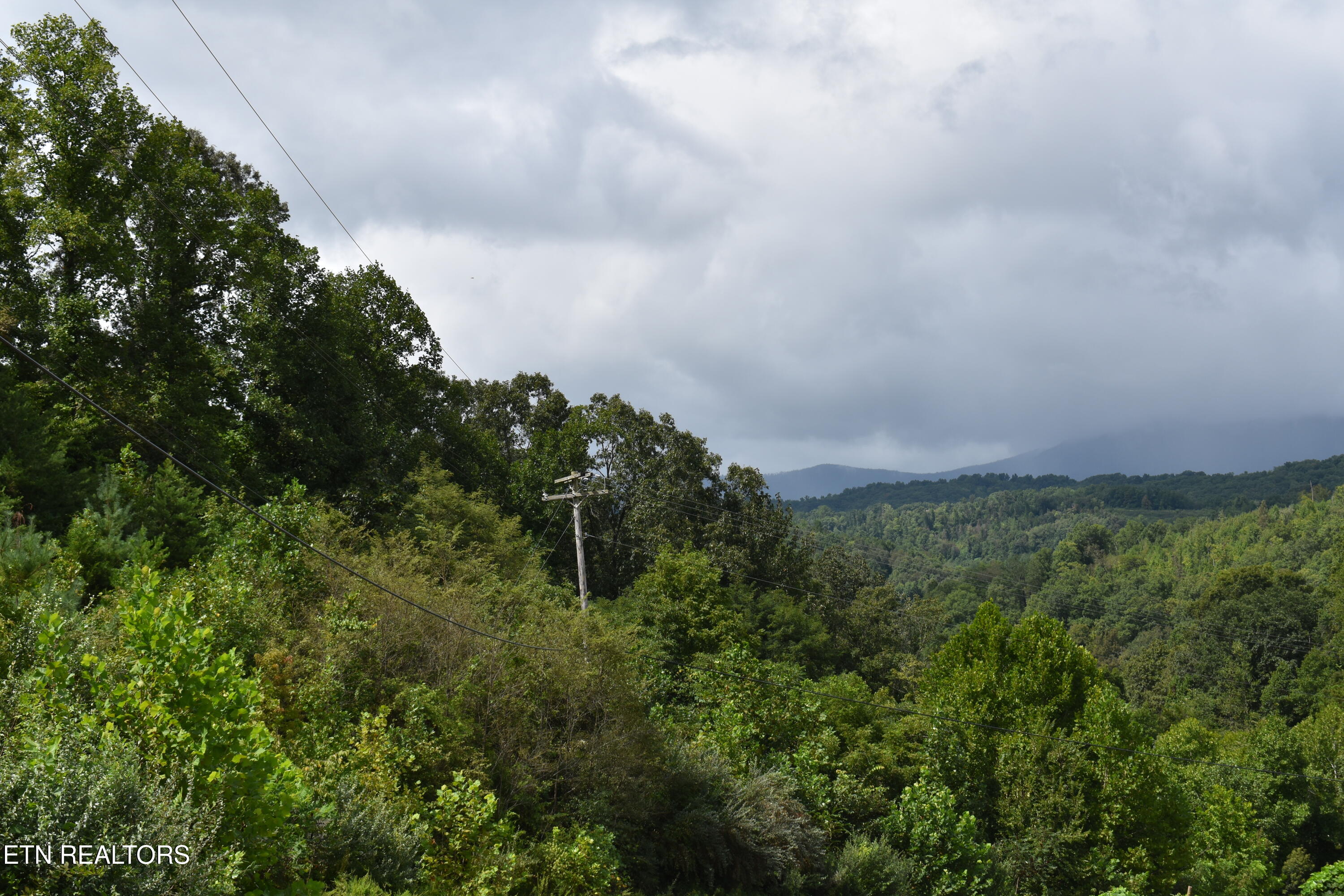 Lot 93 Saddle Ridge Drive Lafollette TN 37766