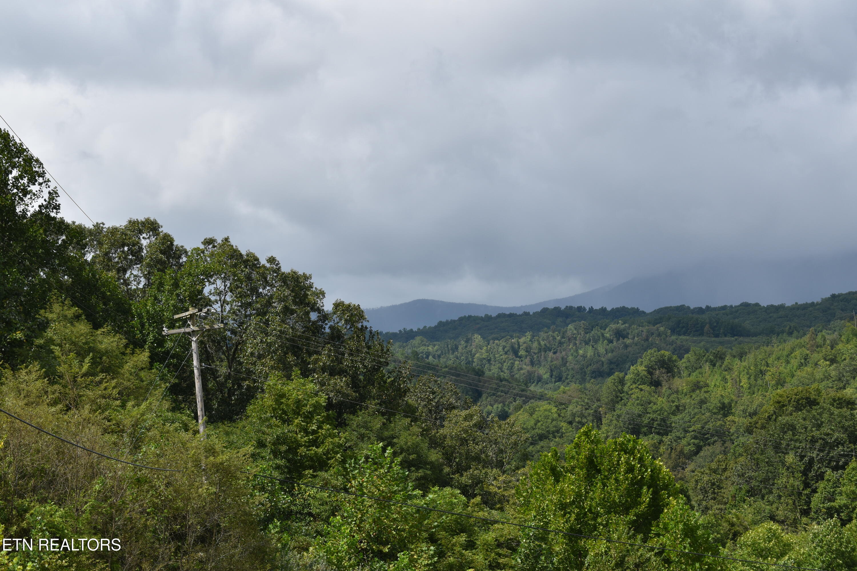 Lot 93 Saddle Ridge Drive Lafollette TN 37766