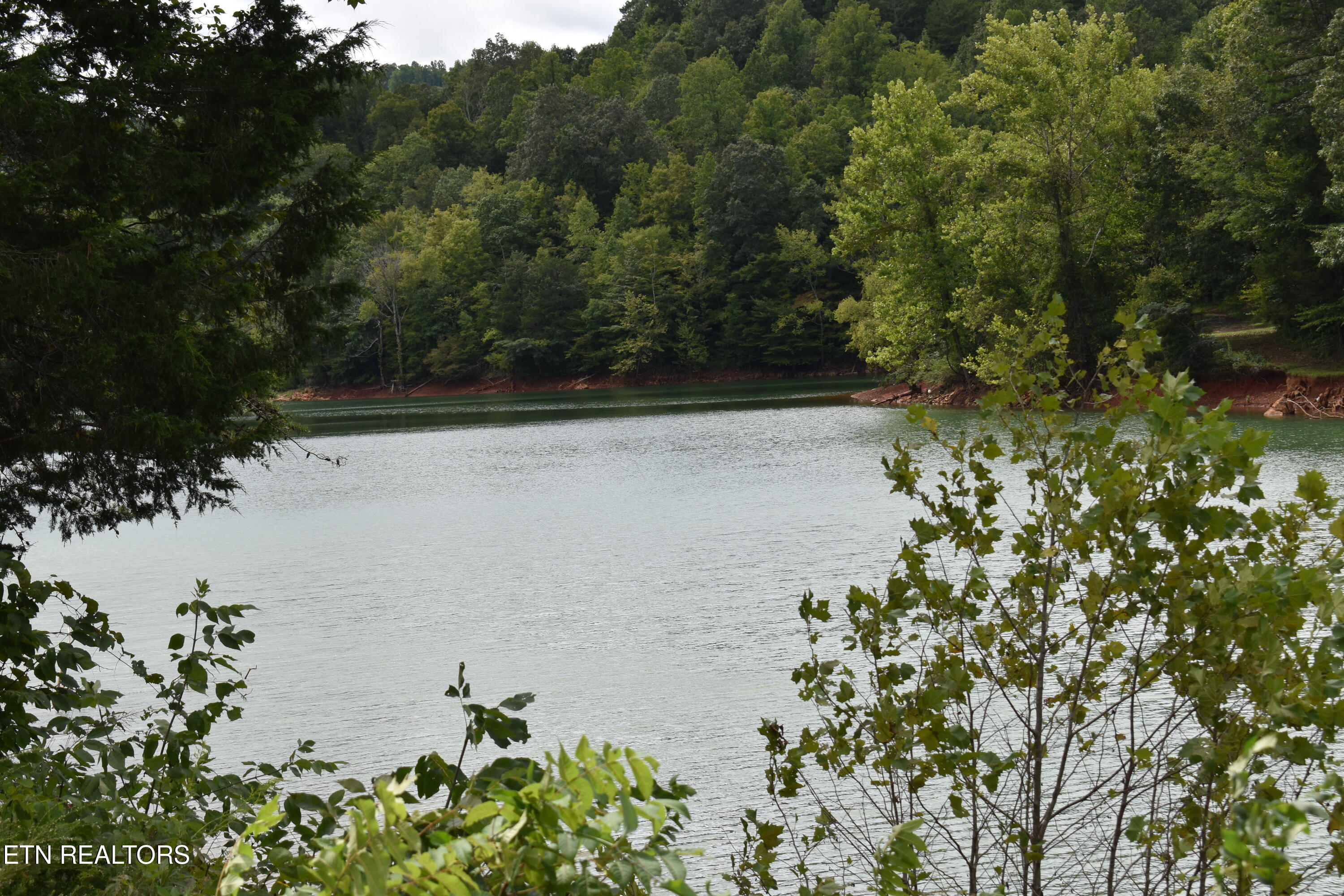 Lot 93 Saddle Ridge Drive Lafollette TN 37766