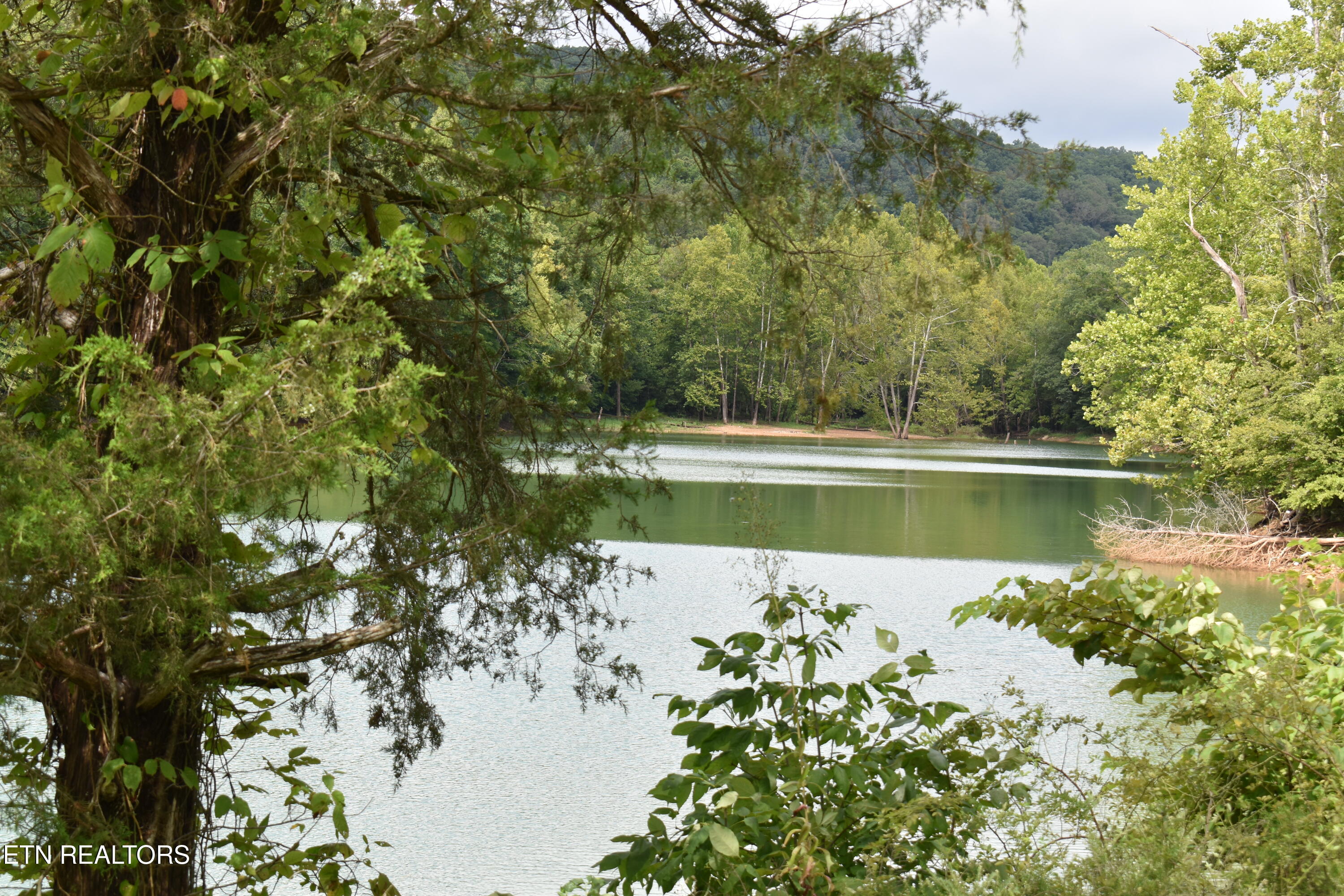 Lot 93 Saddle Ridge Drive Lafollette TN 37766