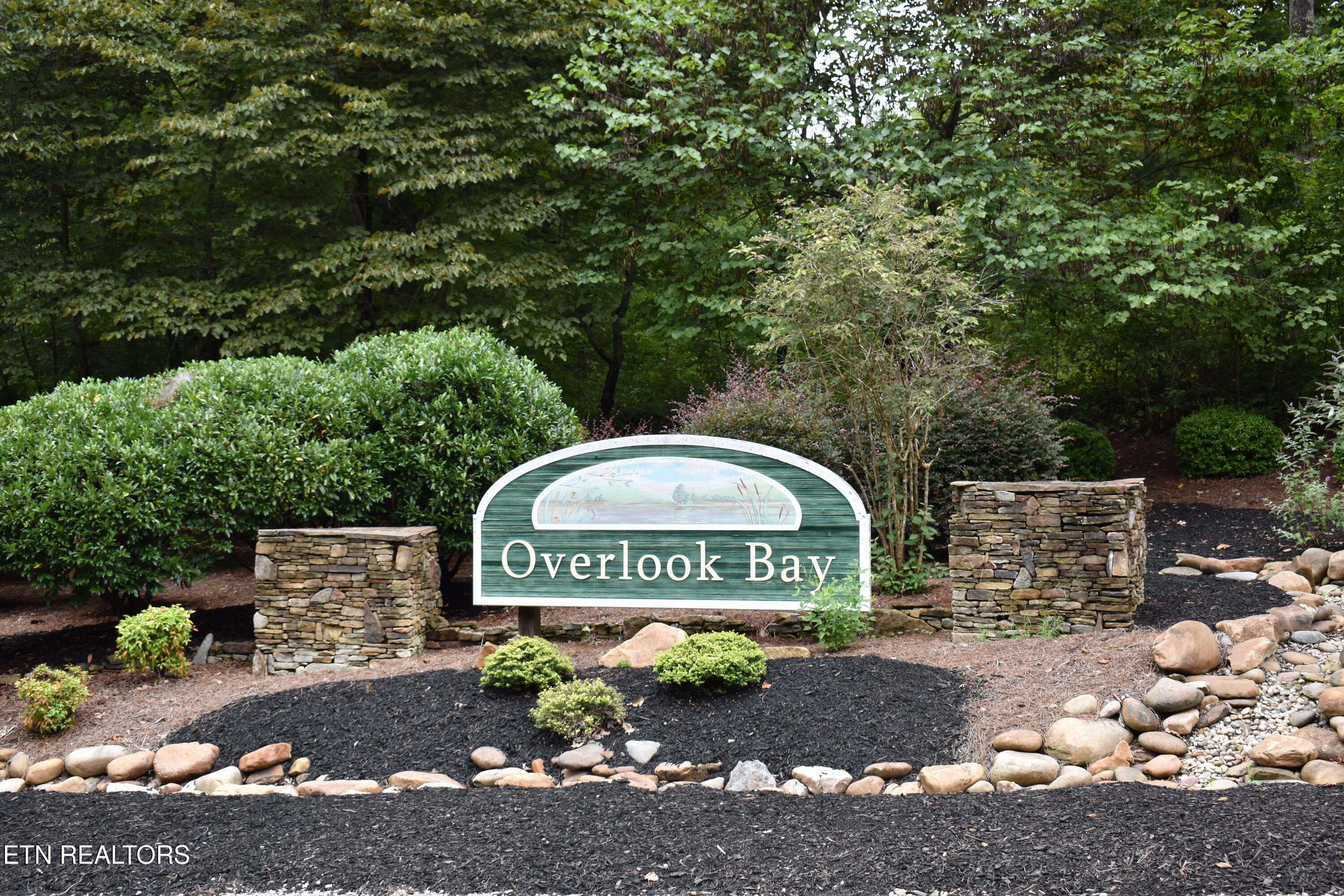 Lot 93 Saddle Ridge Drive Lafollette TN 37766