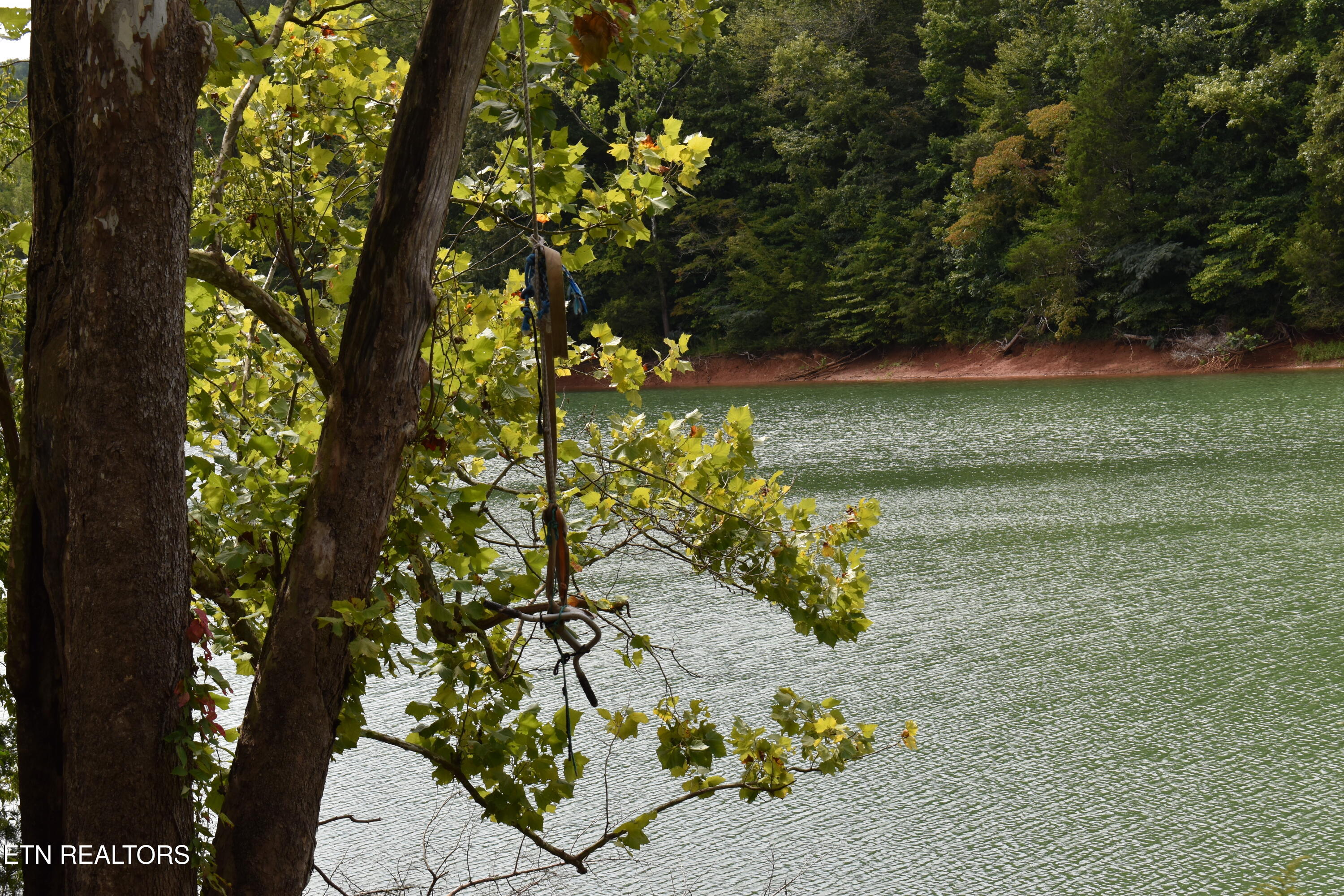 Lot 93 Saddle Ridge Drive Lafollette TN 37766
