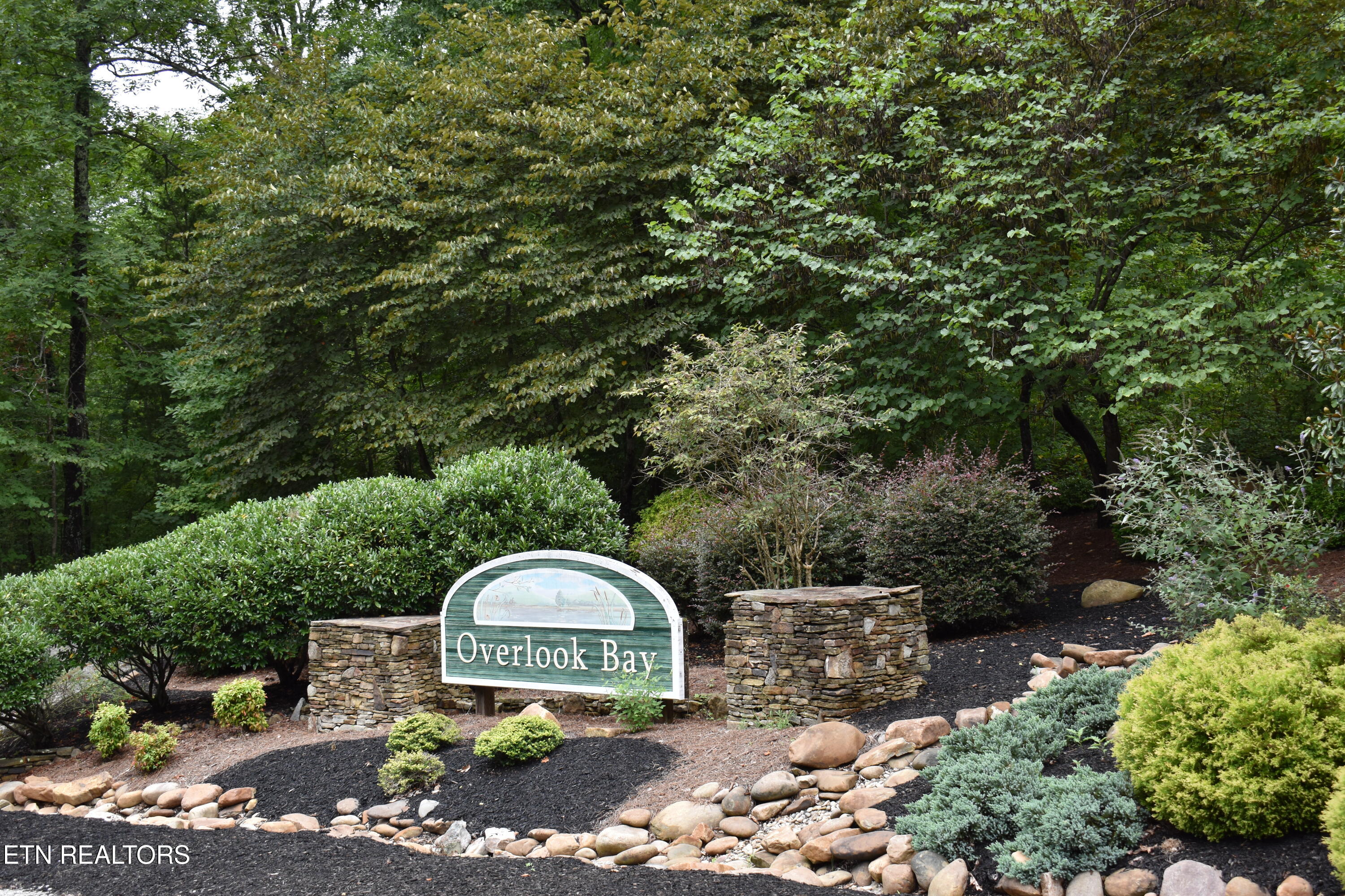 Lot 93 Saddle Ridge Drive Lafollette TN 37766