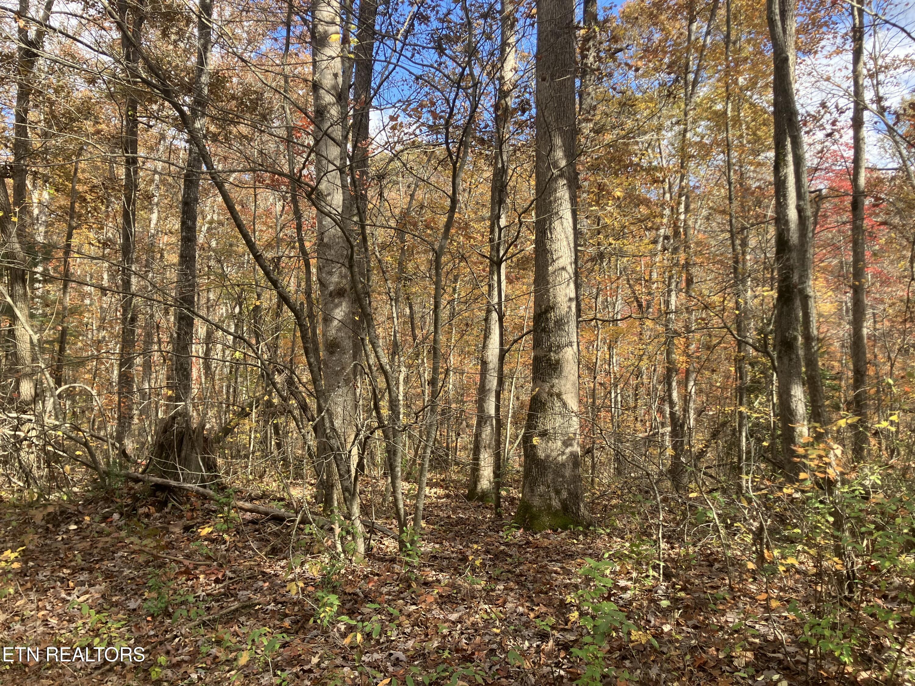 165 Devon Road Crossville TN 38558