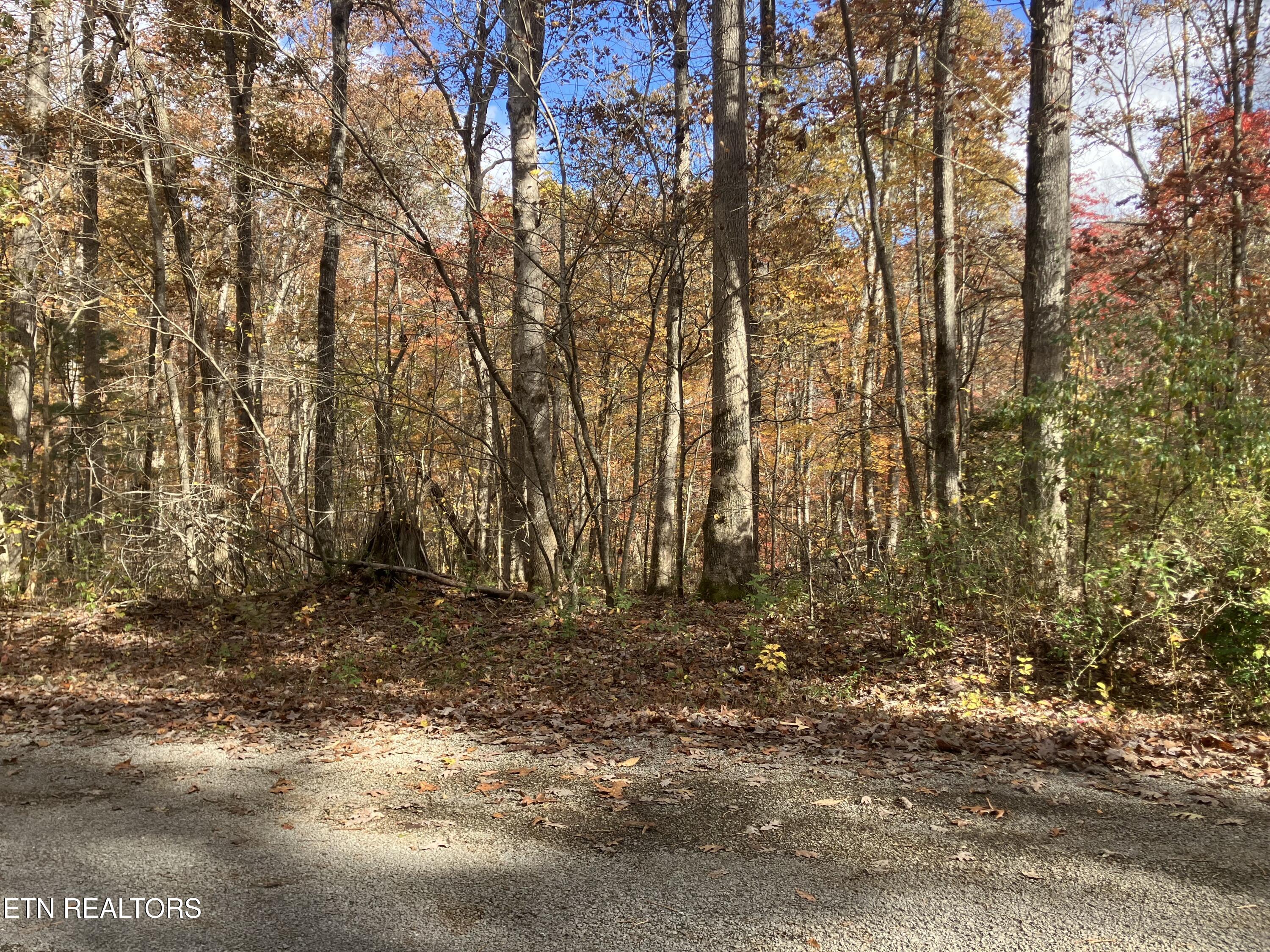 165 Devon Road Crossville TN 38558