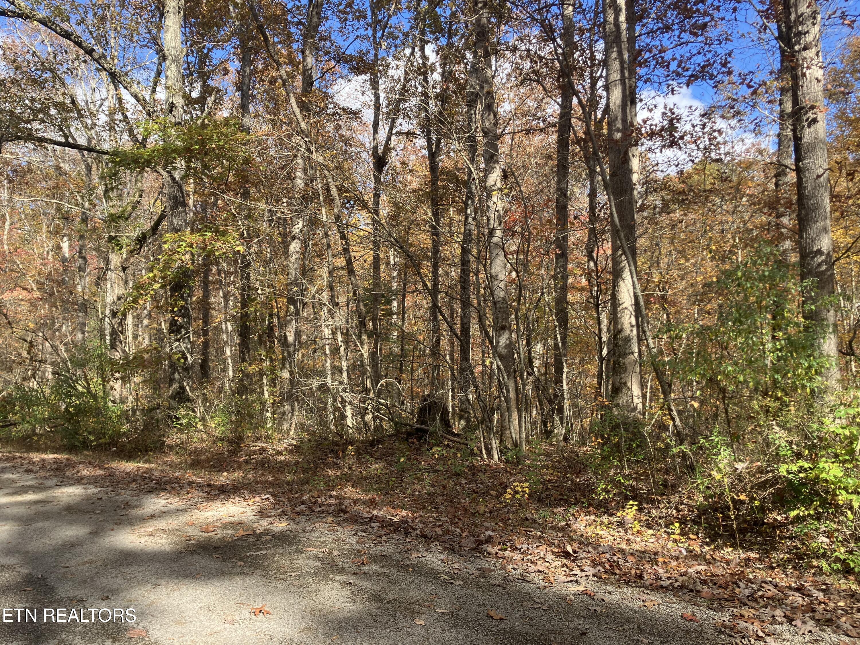 165 Devon Road Crossville TN 38558