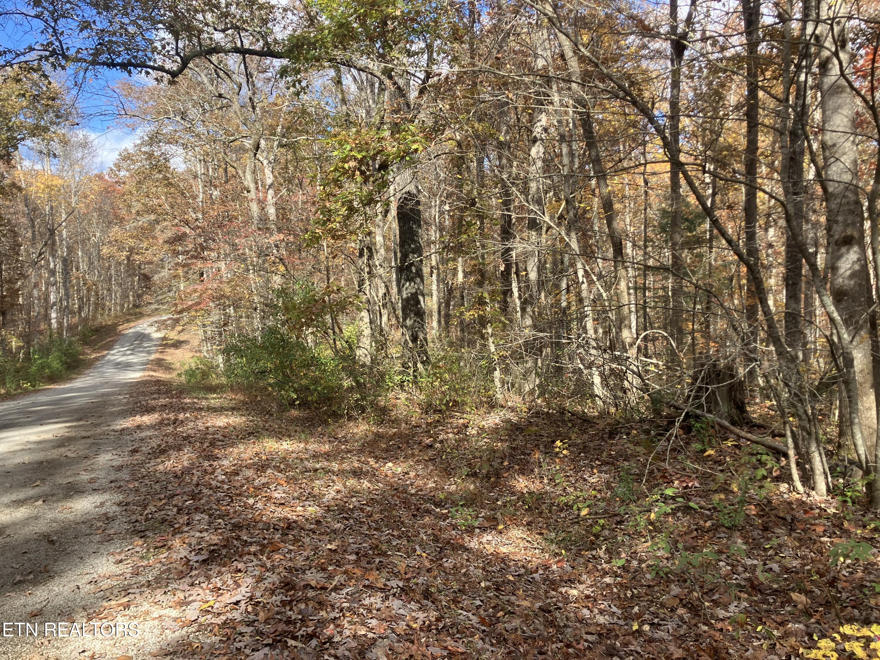 165 Devon Road Crossville TN 38558