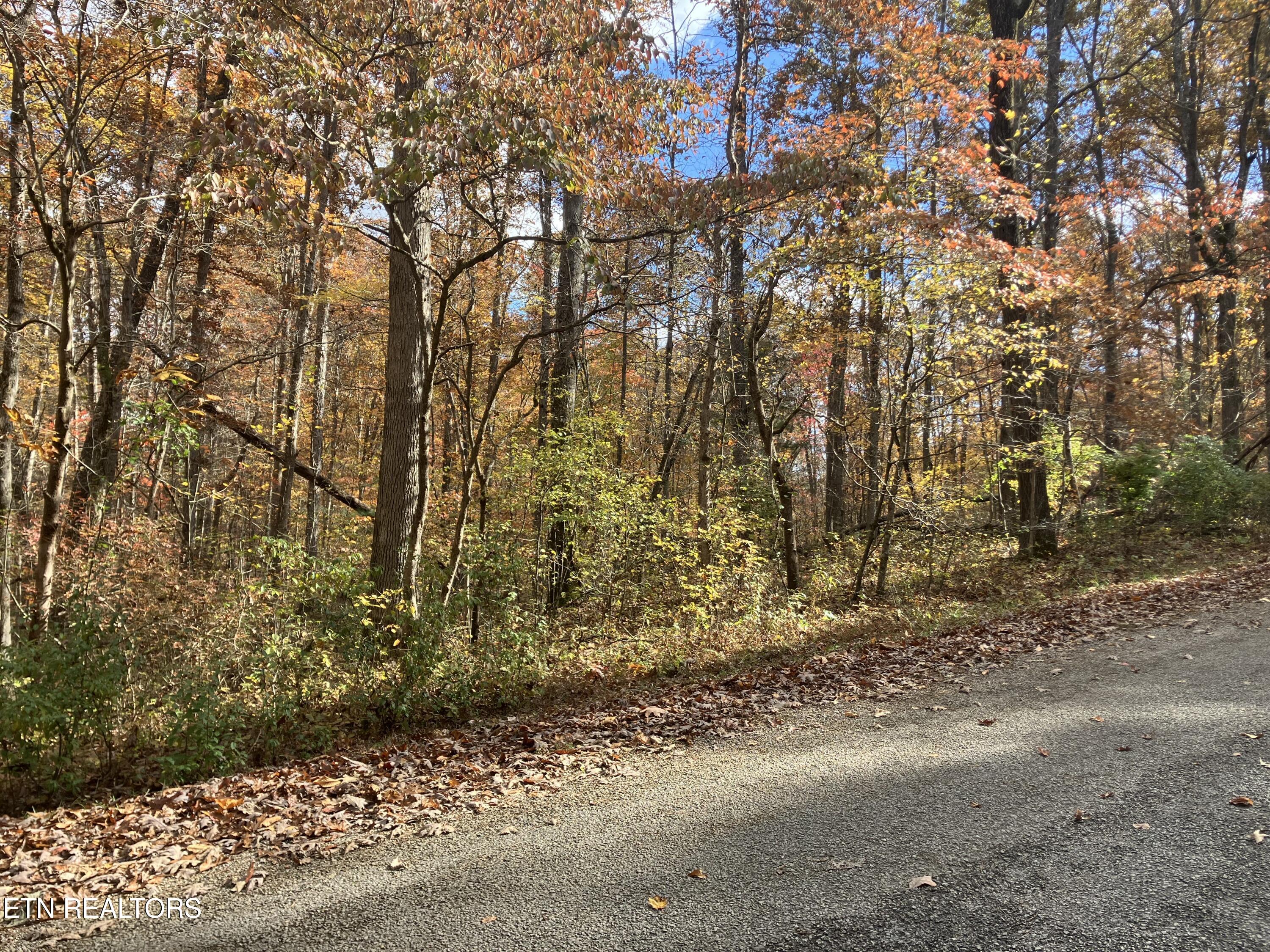 165 Devon Road Crossville TN 38558