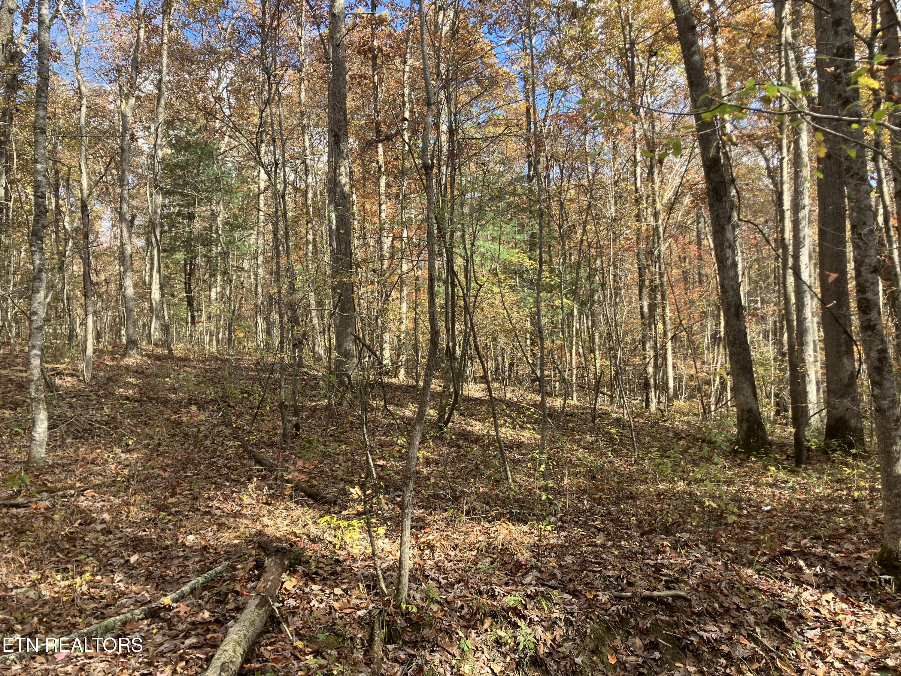 165 Devon Road Crossville TN 38558