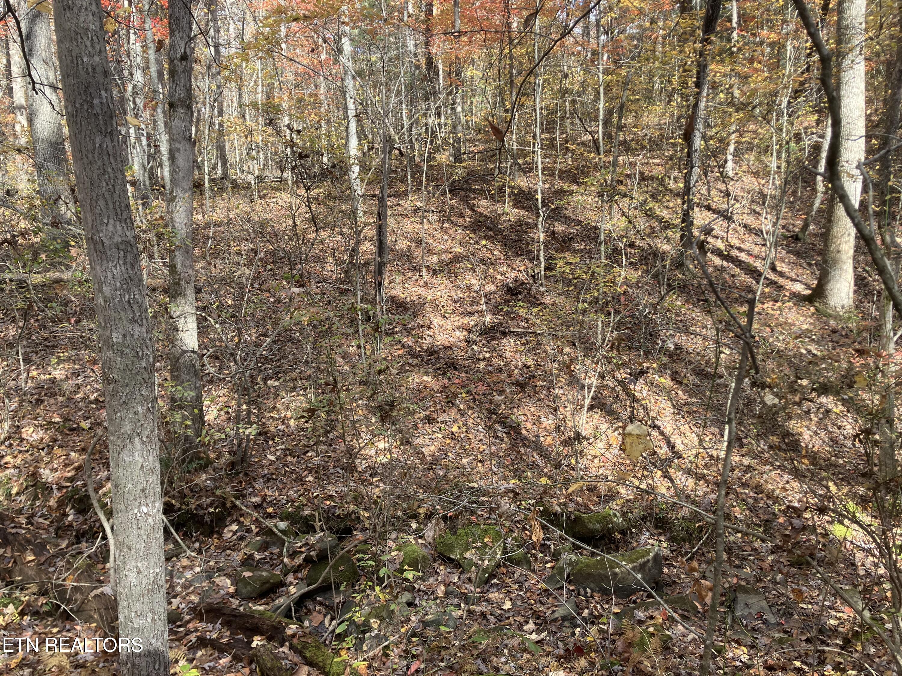 165 Devon Road Crossville TN 38558