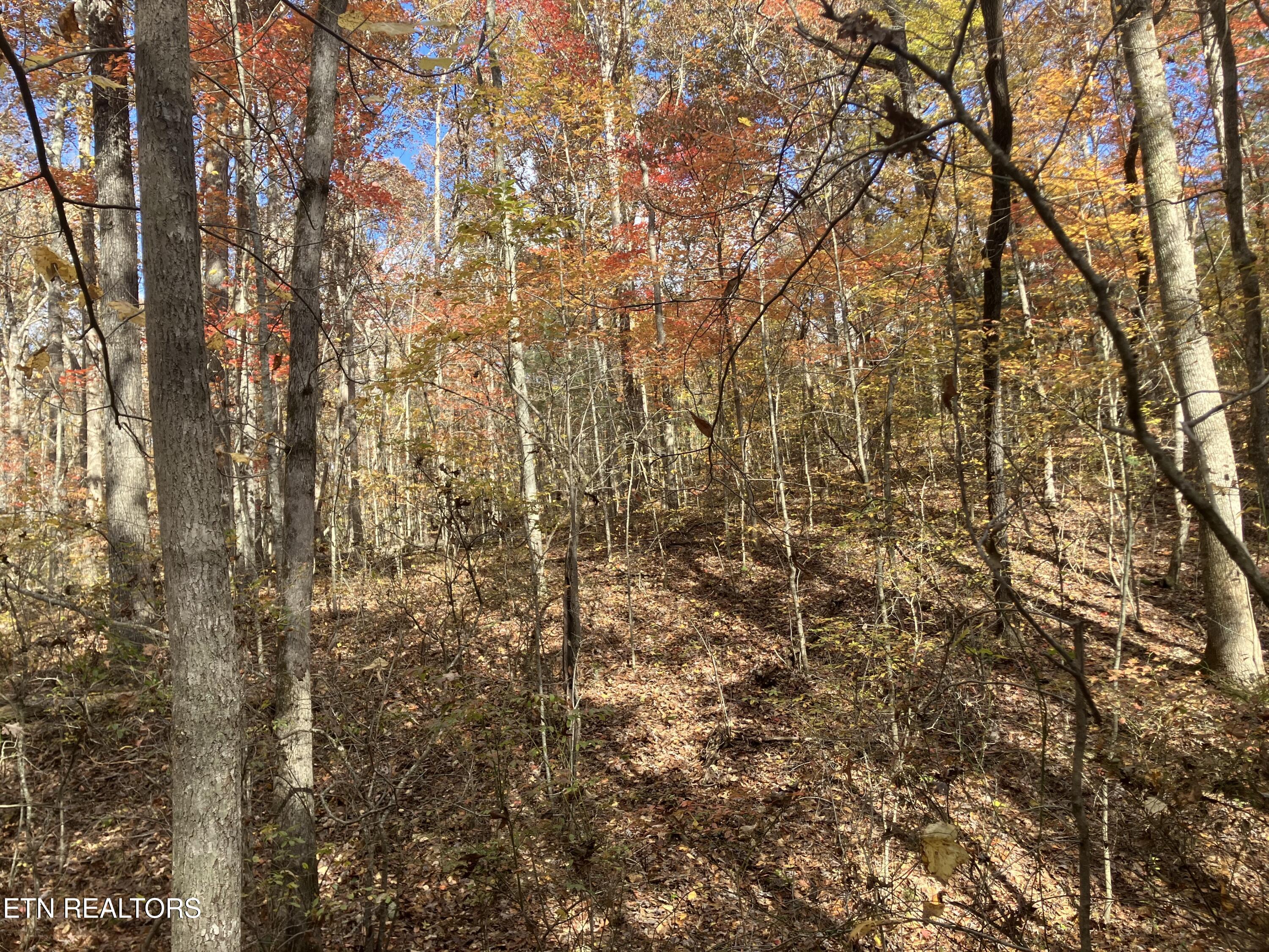 165 Devon Road Crossville TN 38558