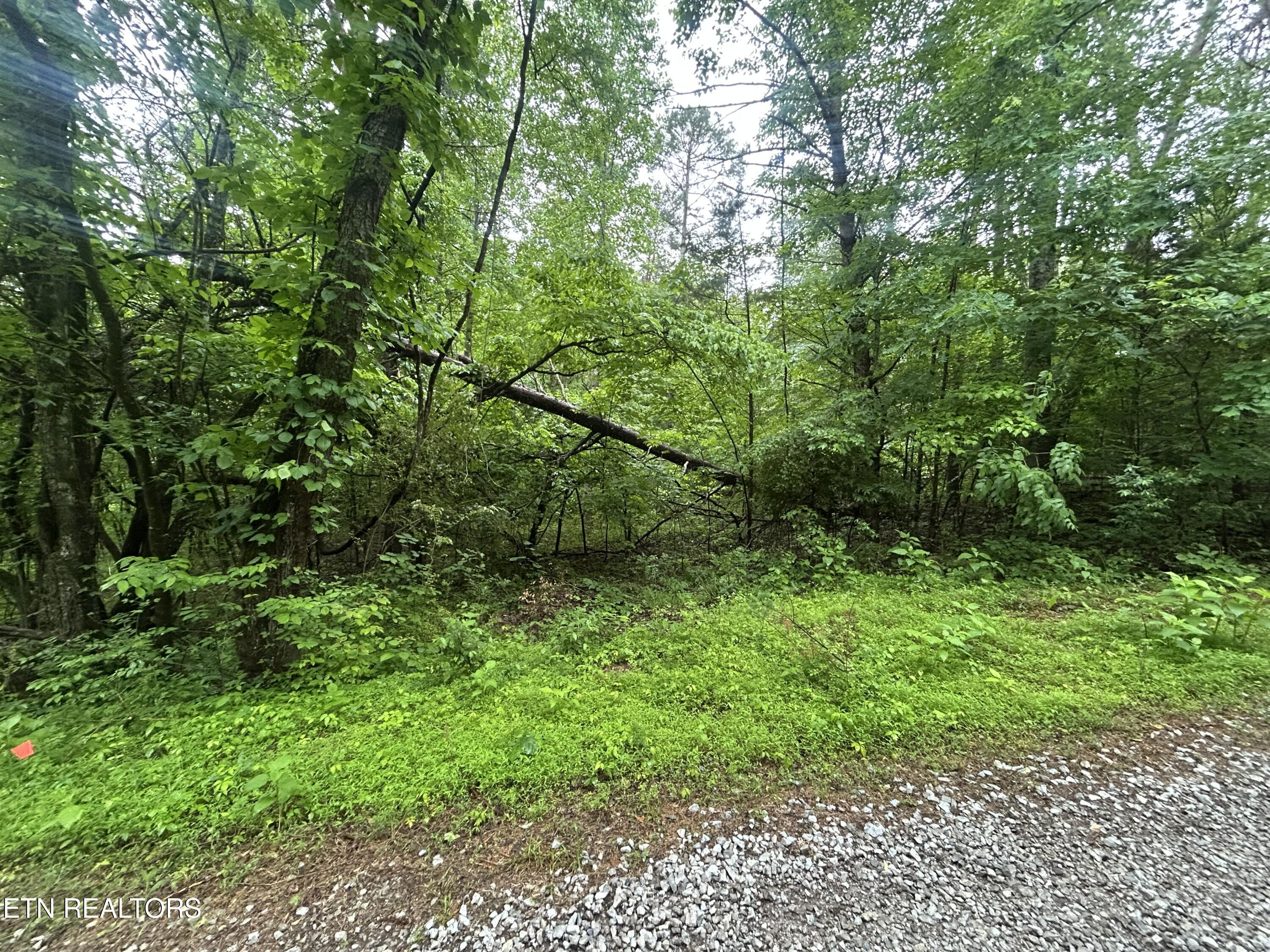 Lot 105-108 Settlers Road Harriman TN 37748