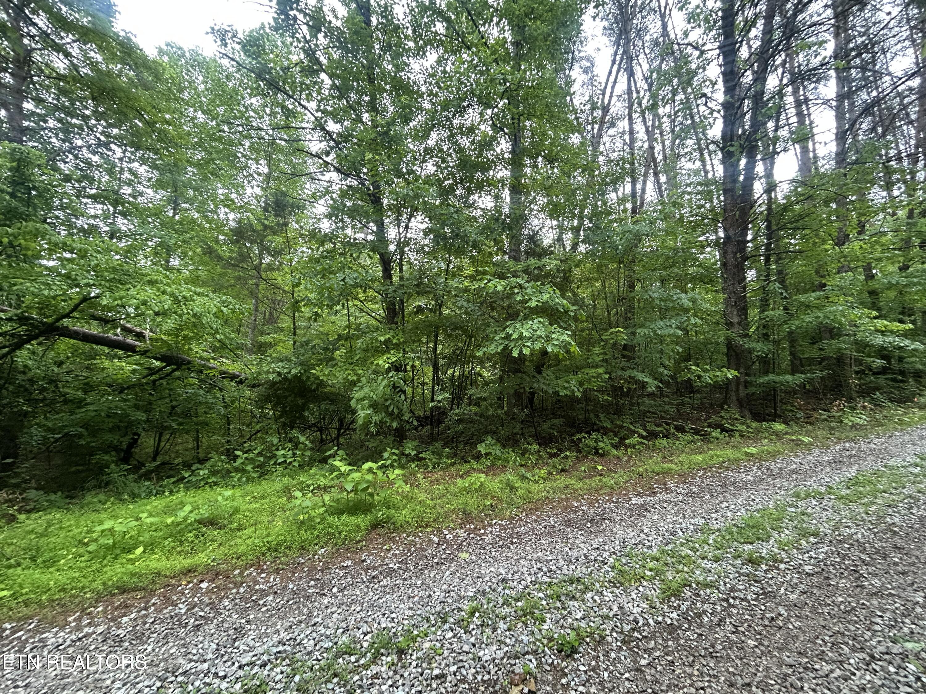 Lot 105-108 Settlers Road Harriman TN 37748