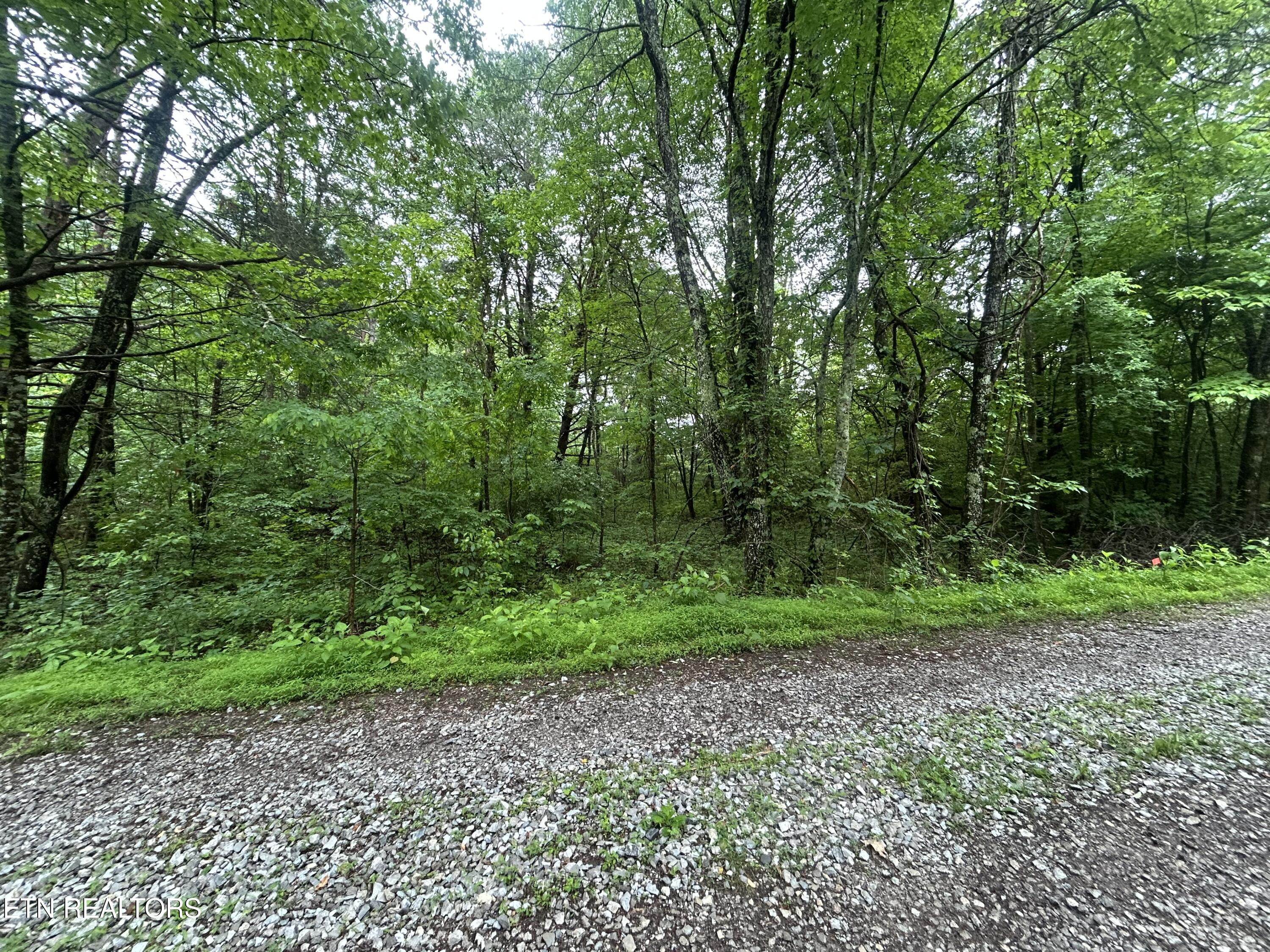 Lot 105-108 Settlers Road Harriman TN 37748