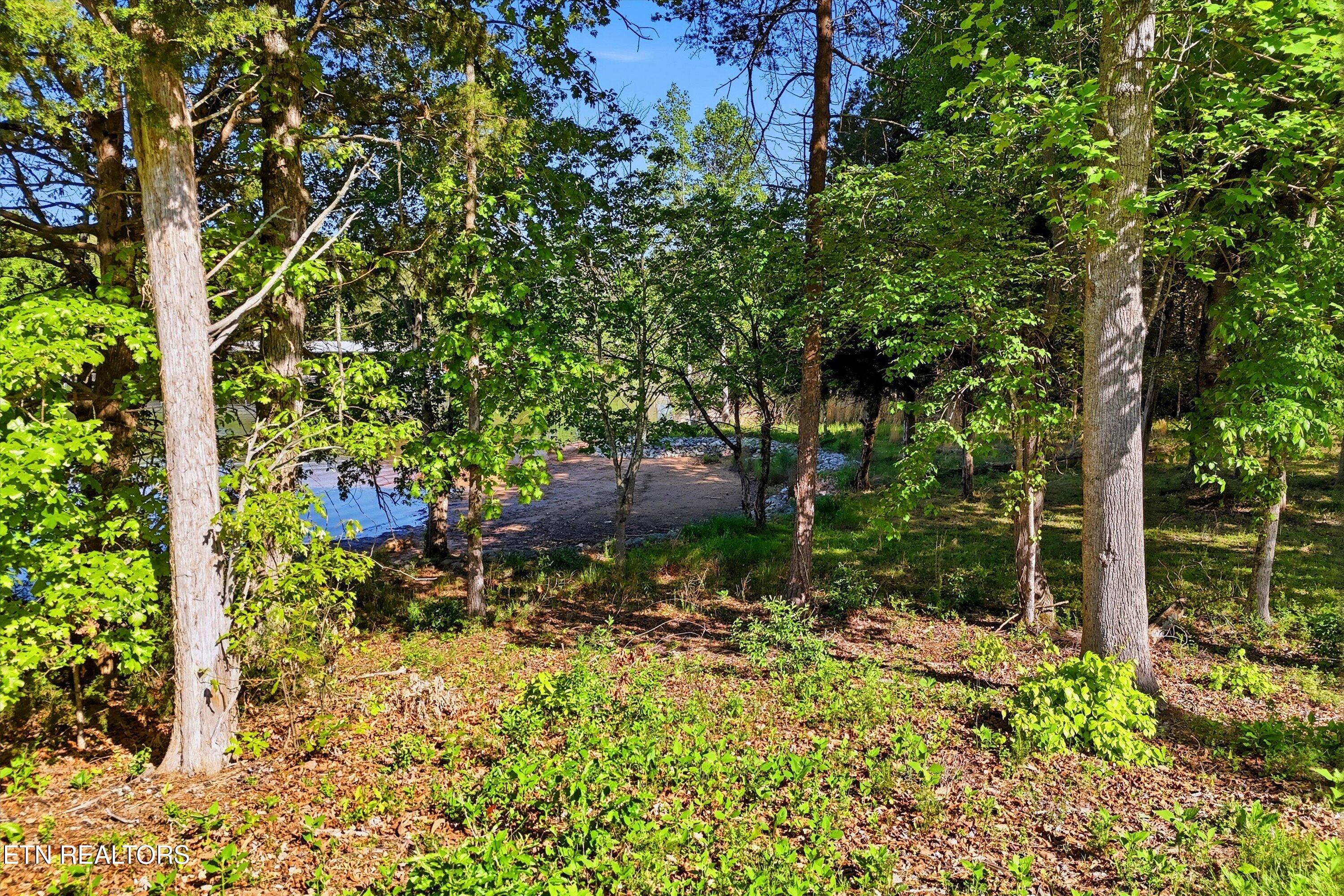 261 White Swan Drive Vonore TN 37885