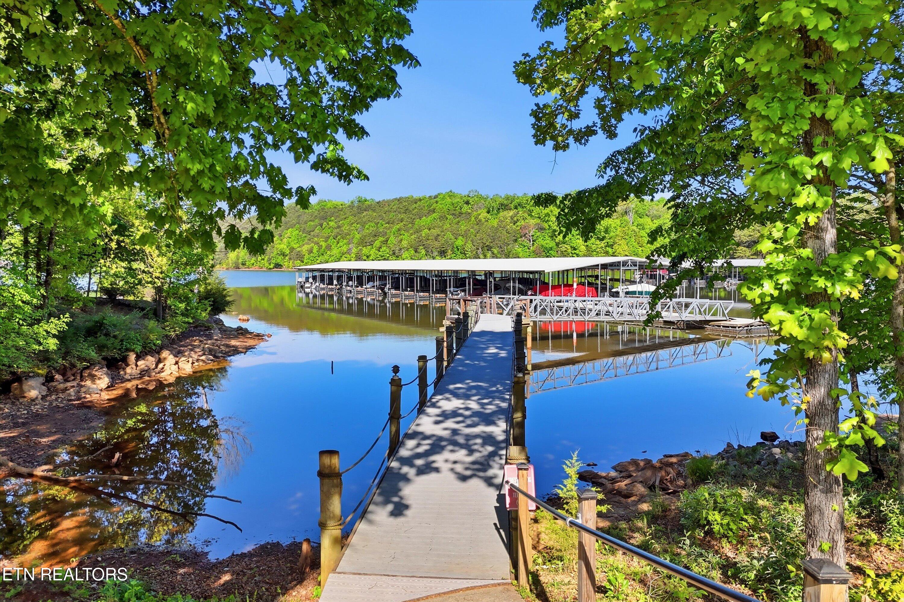 261 White Swan Drive Vonore TN 37885