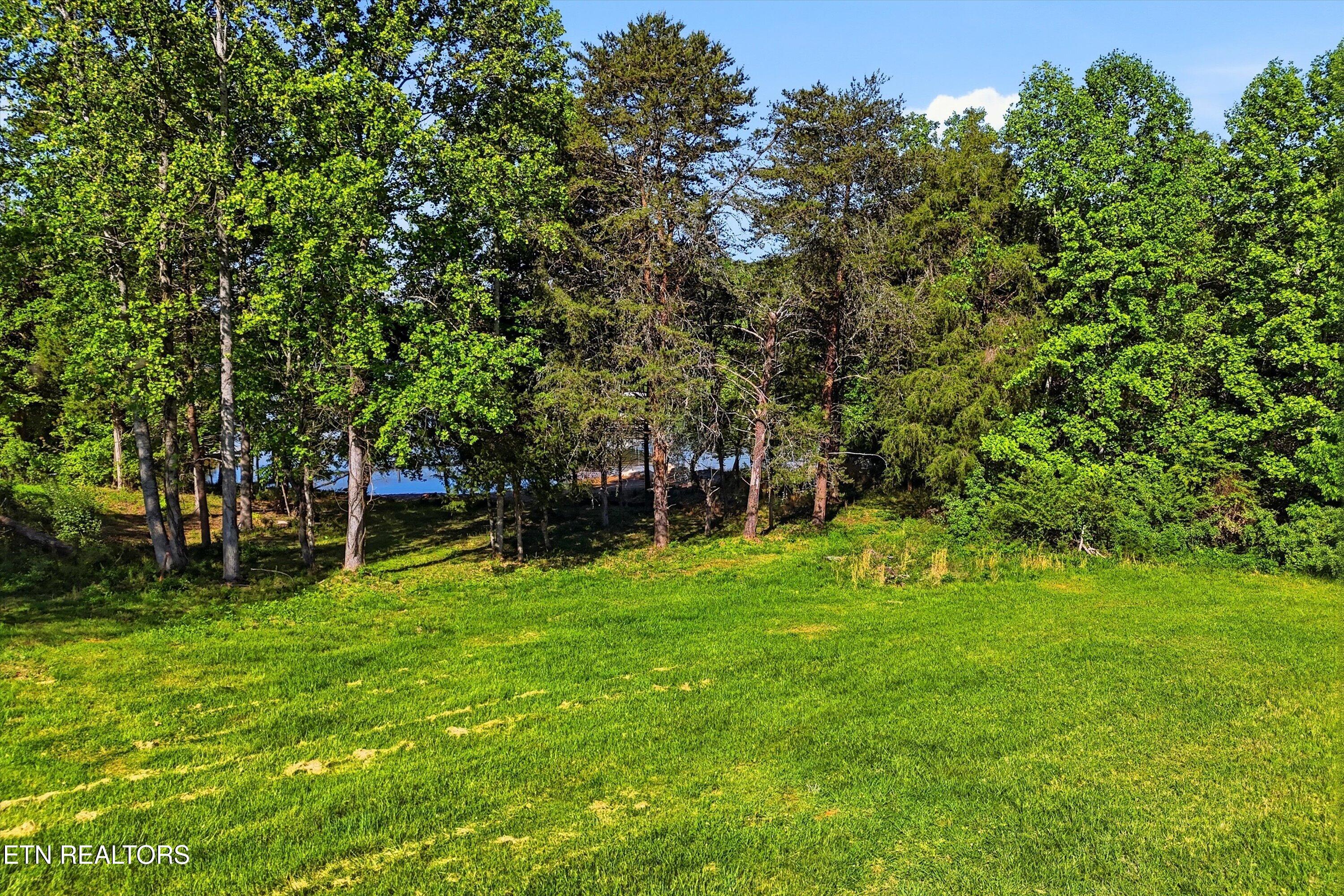 261 White Swan Drive Vonore TN 37885